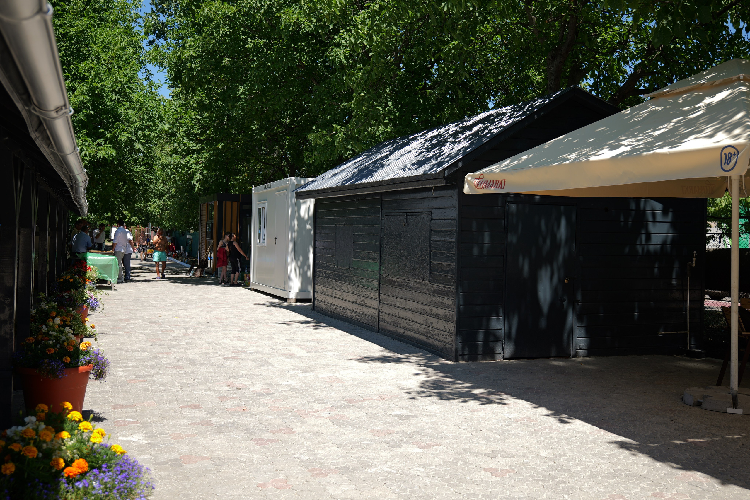 ȘTRAND DEVA — DESCHIDERE. Freesh Media Products