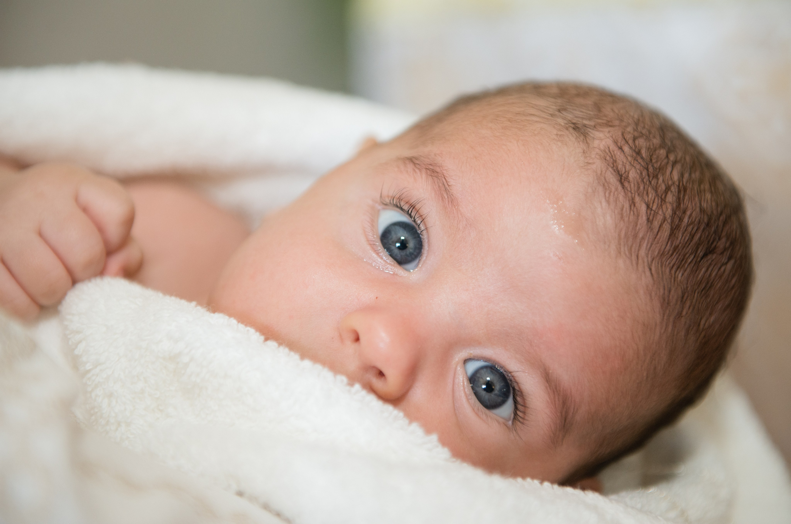 Cumetrie Domenic. Fotograf de familie Vitalie Budoianu