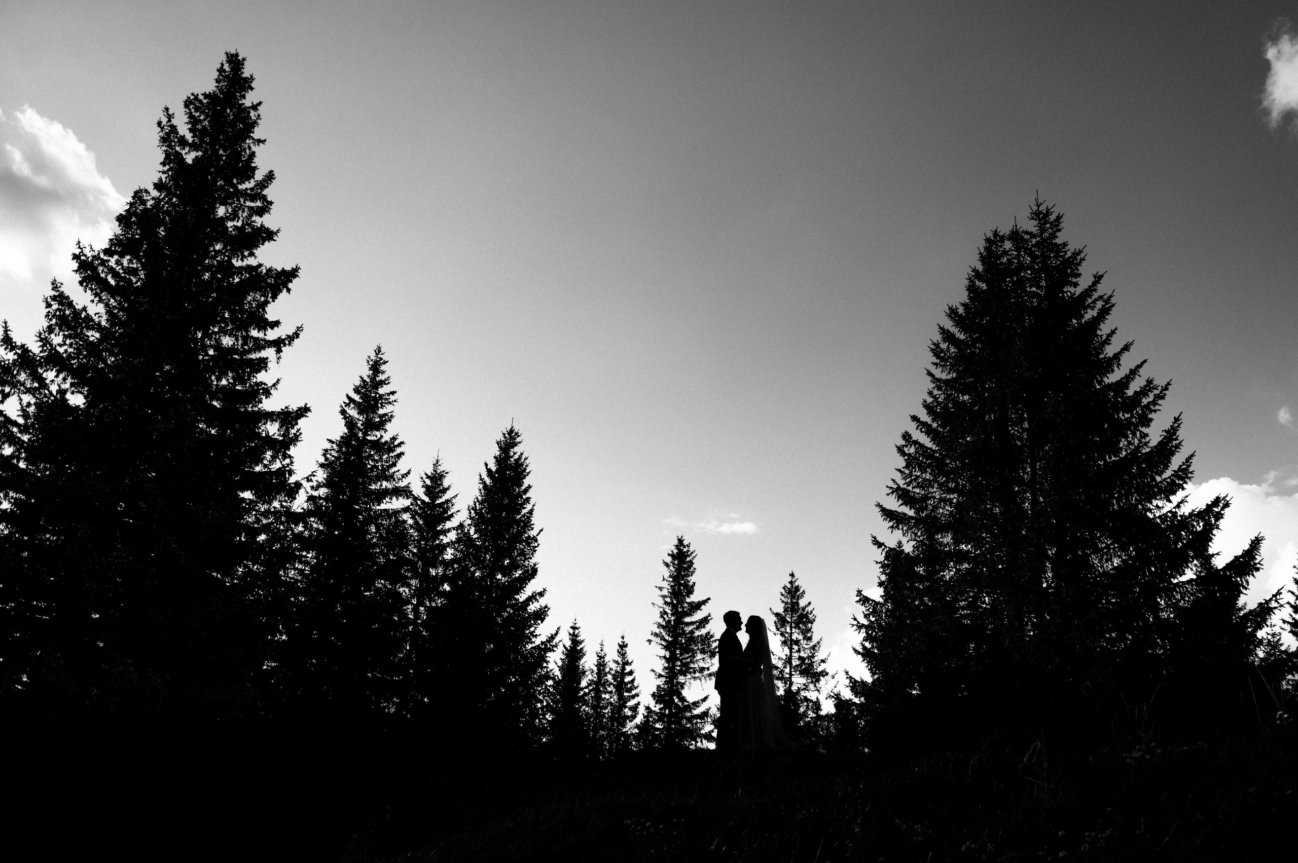 Gabriel & Maria. Fotograful evenimentului tău
