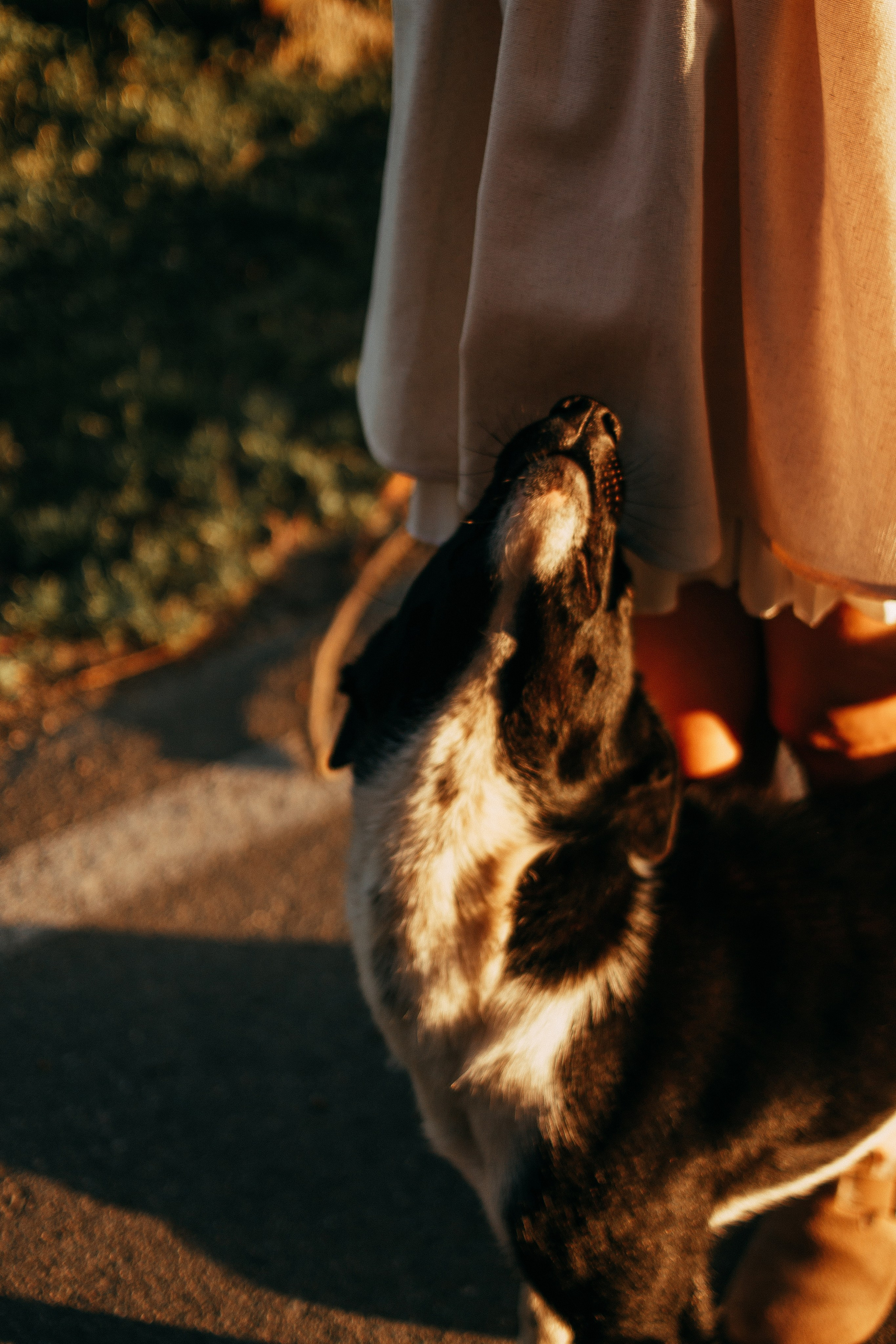 Ульяна. Wedding and portrait photographer in Beograd Ekaterina Makedonskaya