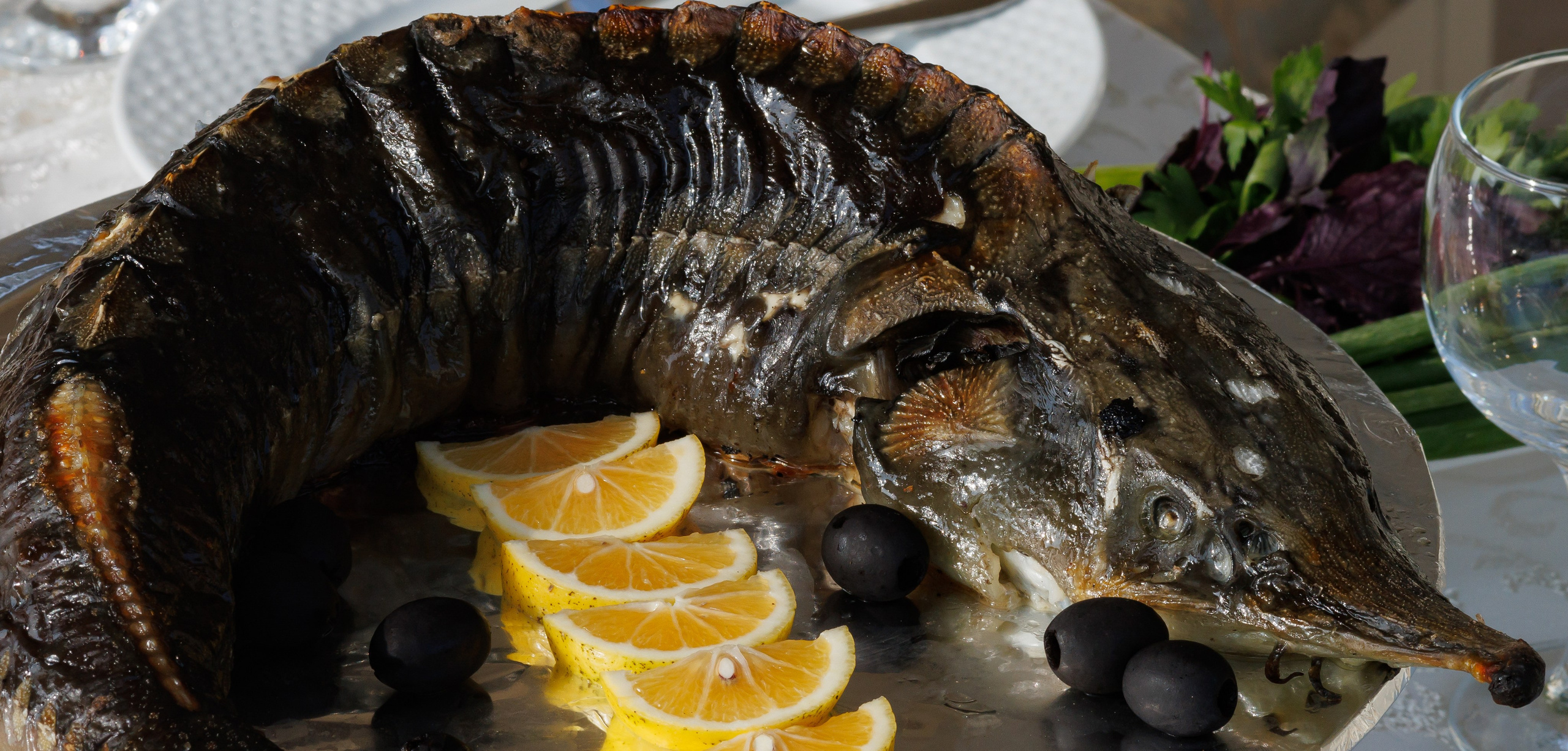 Еда+Недвижимость. Wedding photographer Batumi Tbilisi Georgia