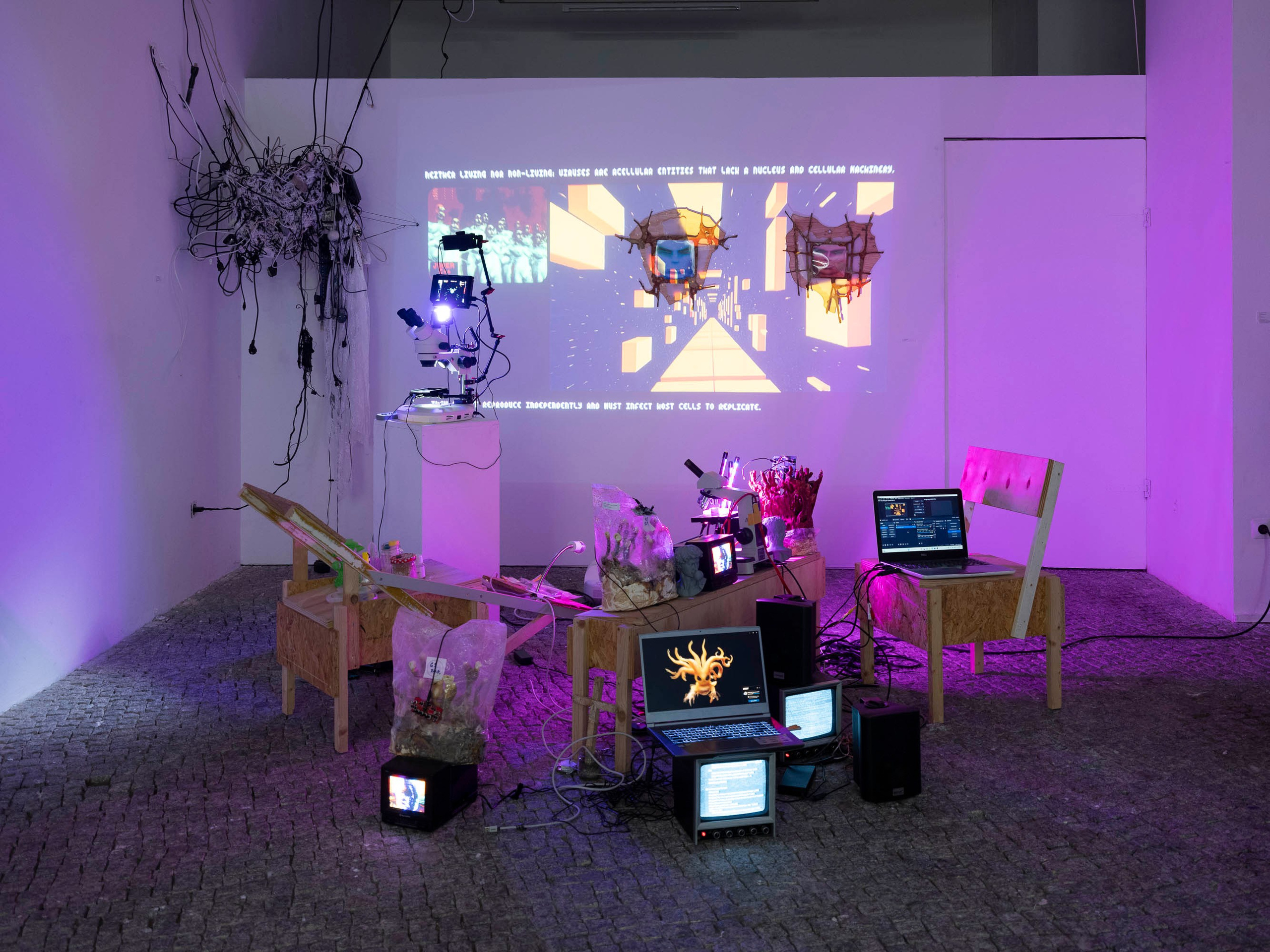 Kagurumi. Photographer Viktor Nikishov