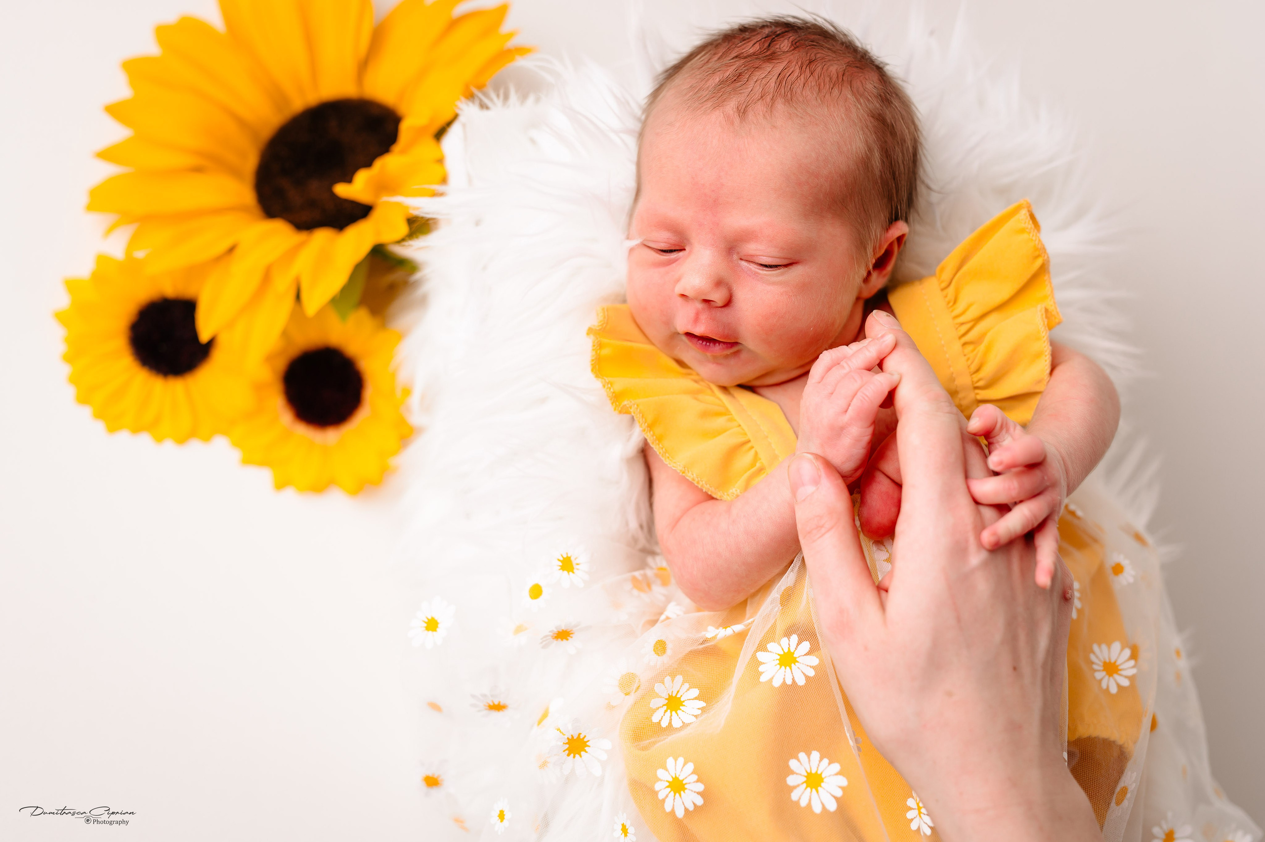 A sweet little angel. Dumitrasca Ciprian Photography