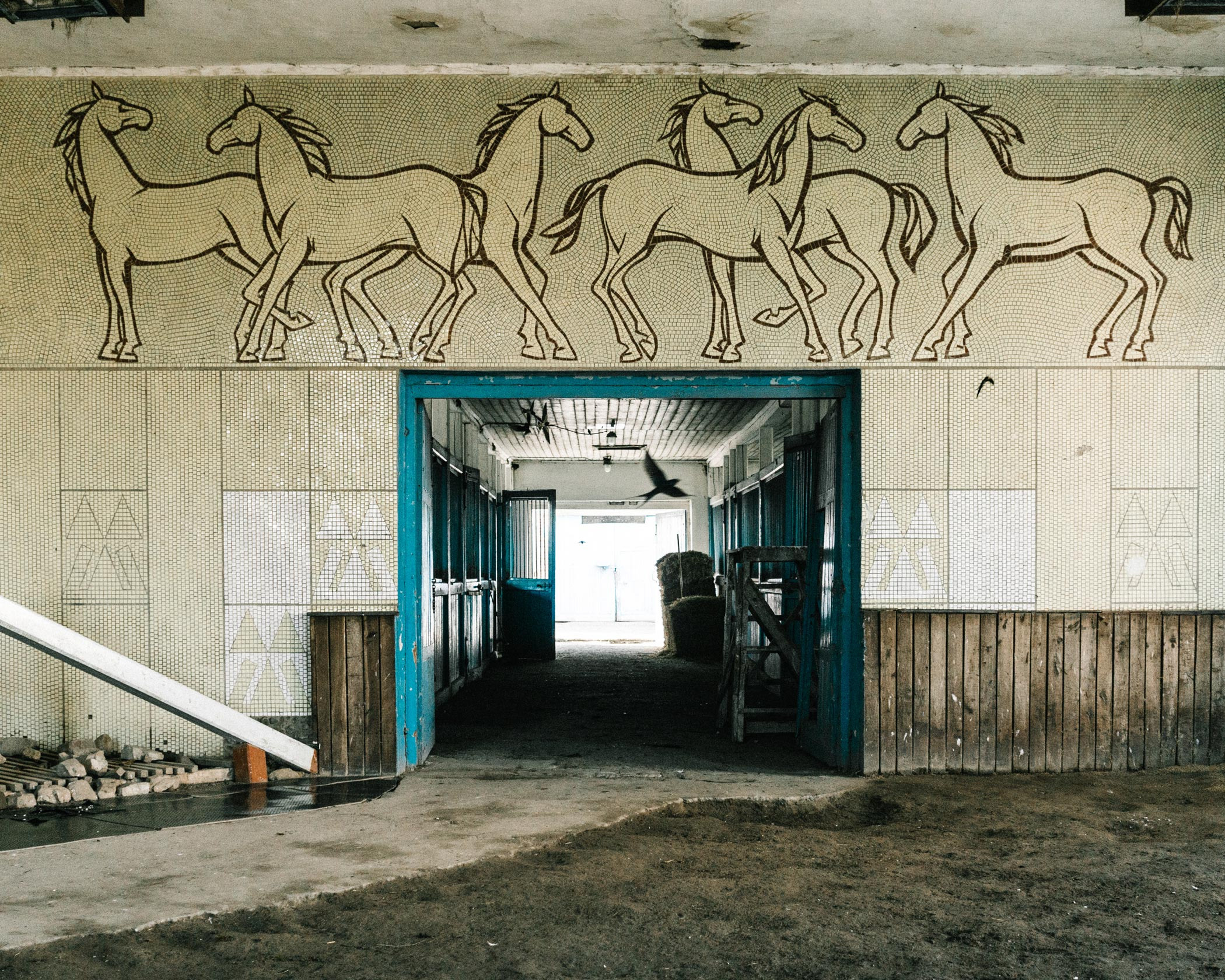 Island | Anastasiia Nelen photographer