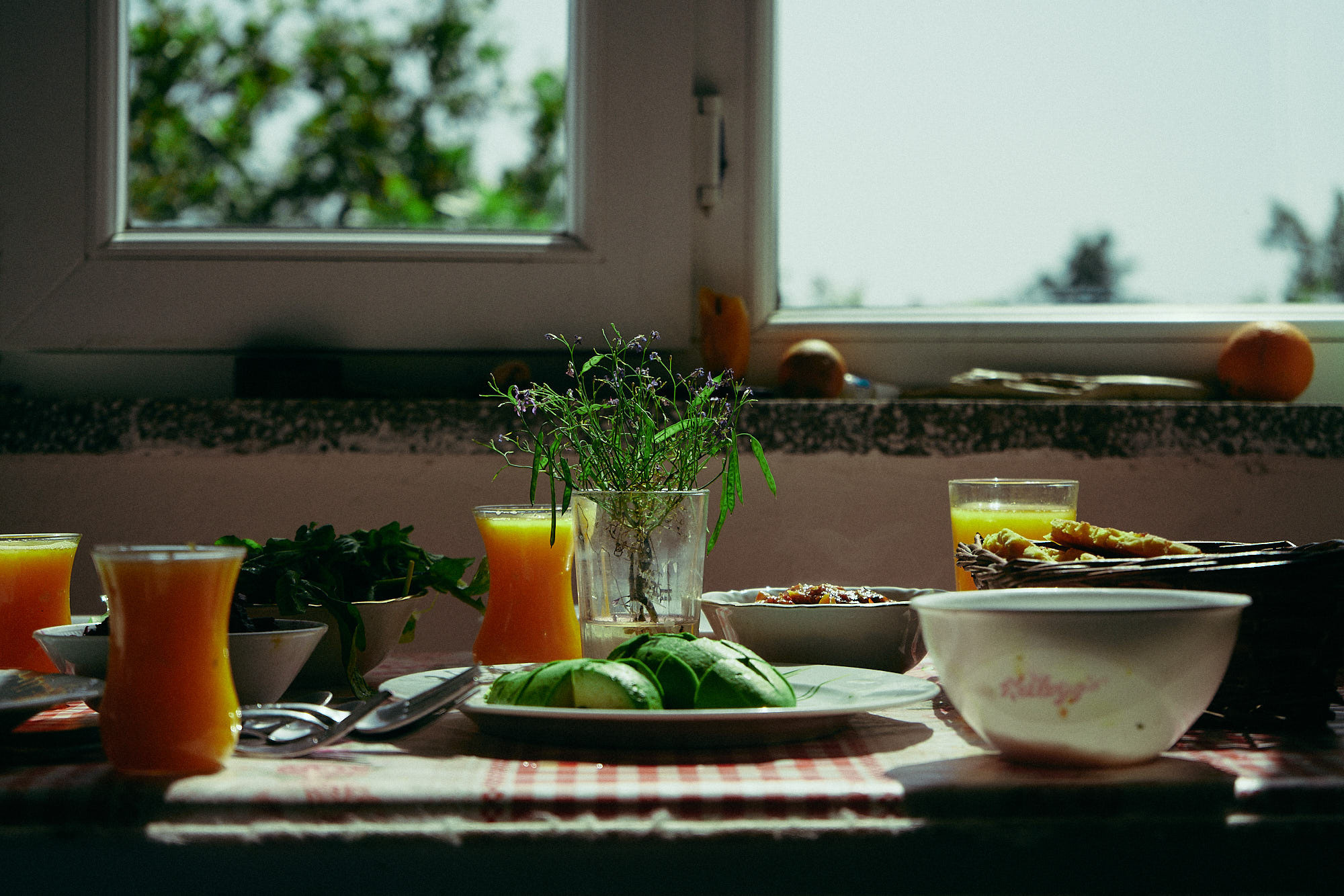 Family | Anastasiia Nelen photographer