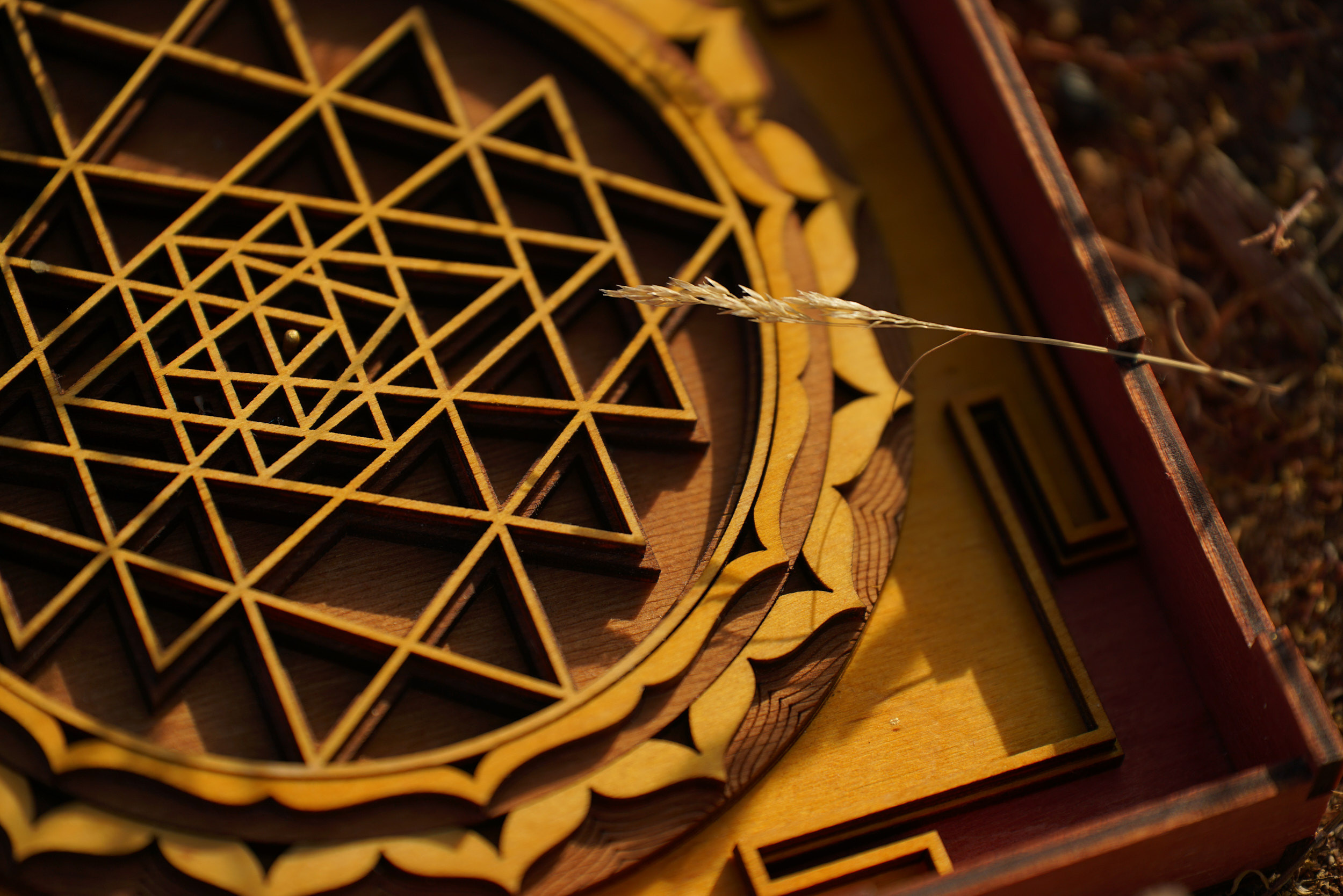 Content for Yoga teacher | Anastasiia Nelen photographer