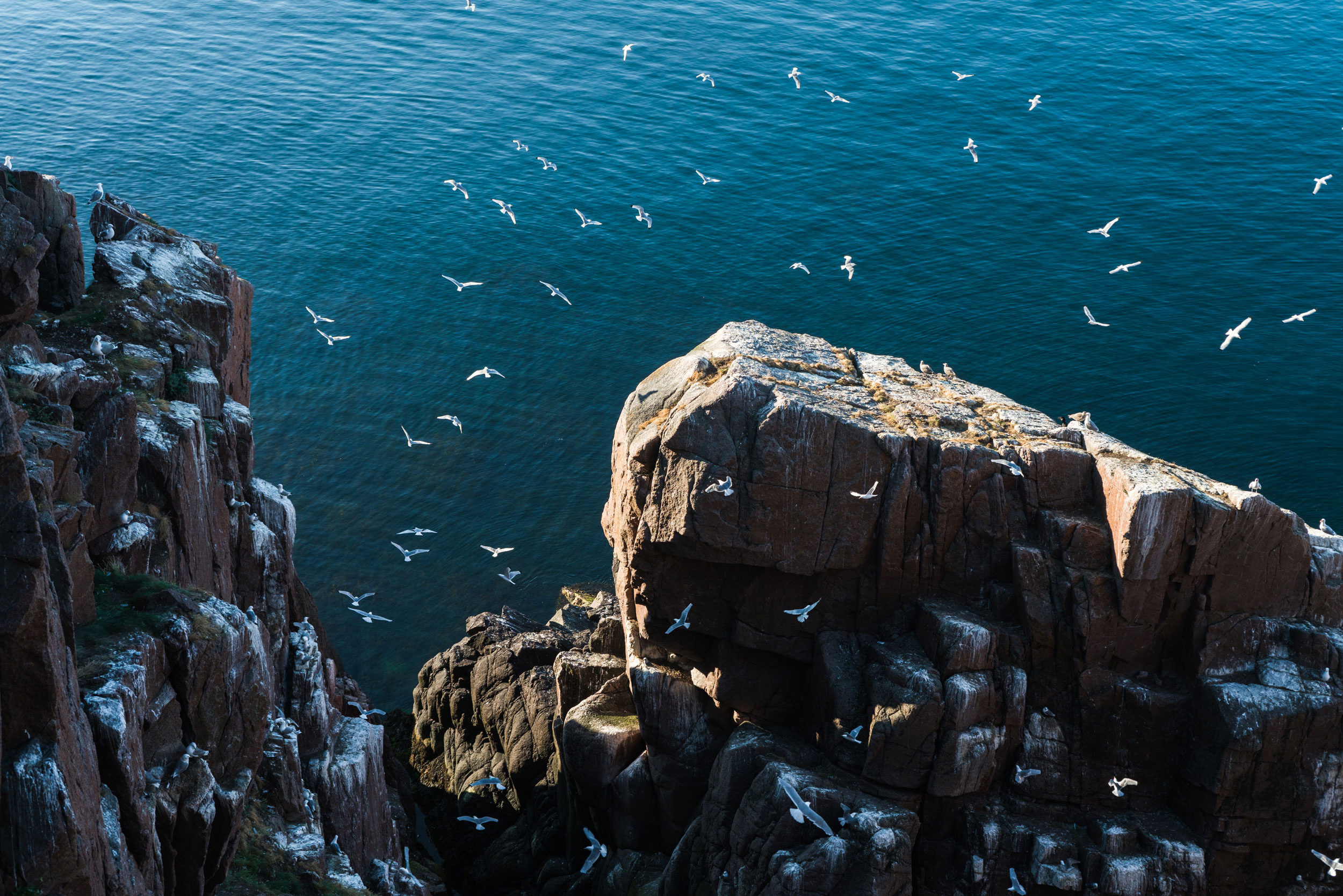 Travel photo | Anastasiia Nelen photographer