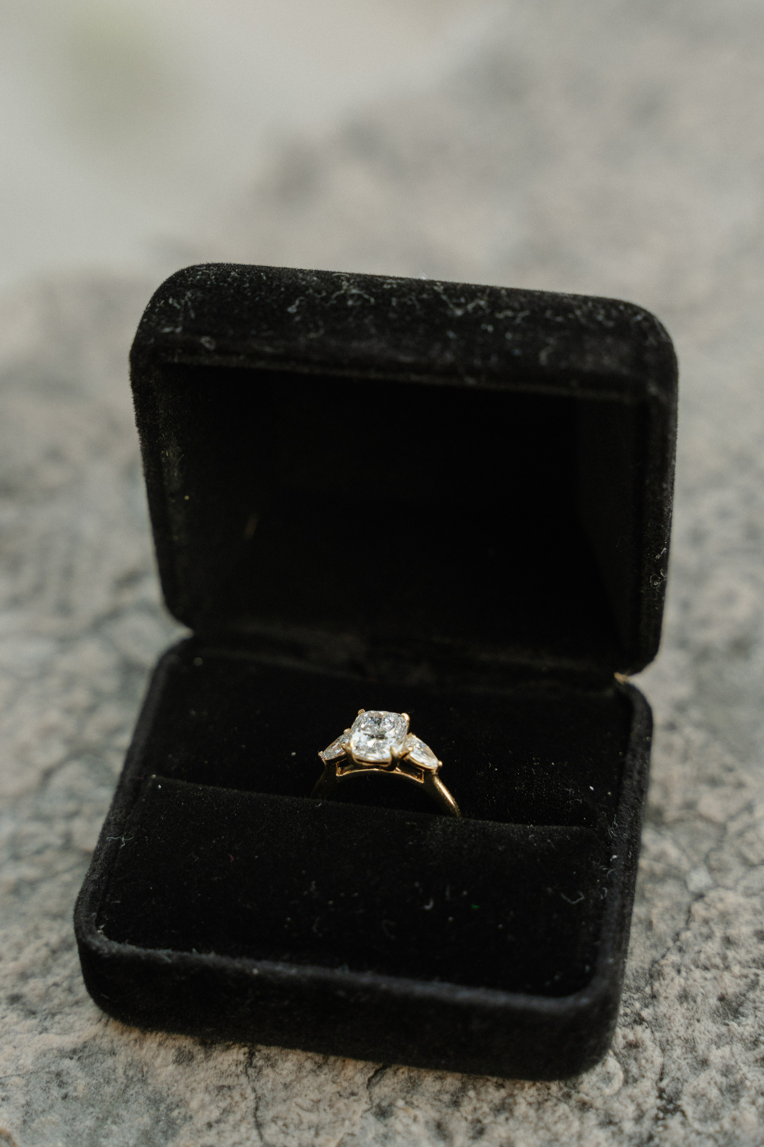 C & C (Ponte Pietra, Verona, Italy). Marriage Proposal Photographer in Verona, Lake Garda and Dolomites| Diana Fedrigo