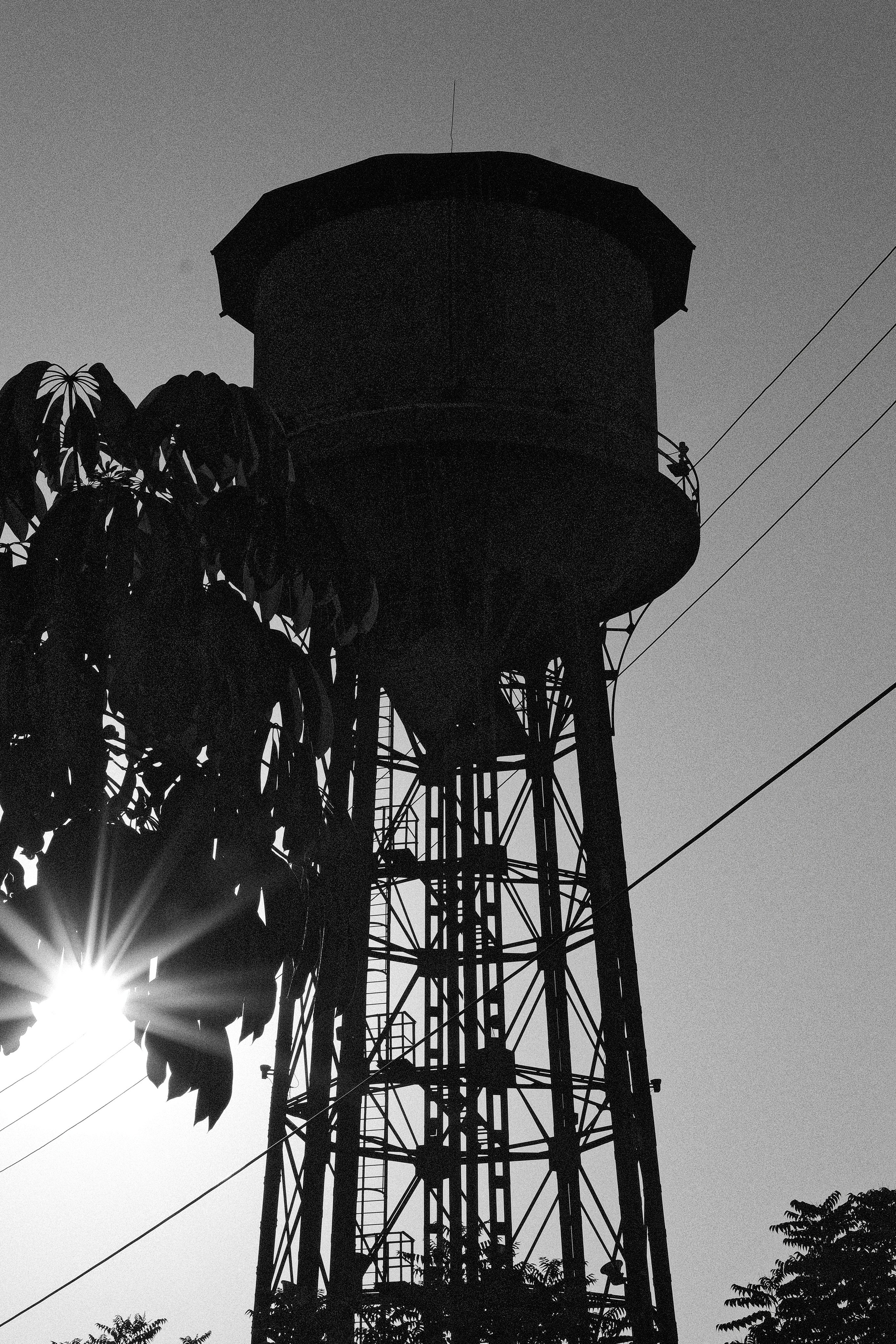 Capturing Life in Black and White - Candid Street Photography