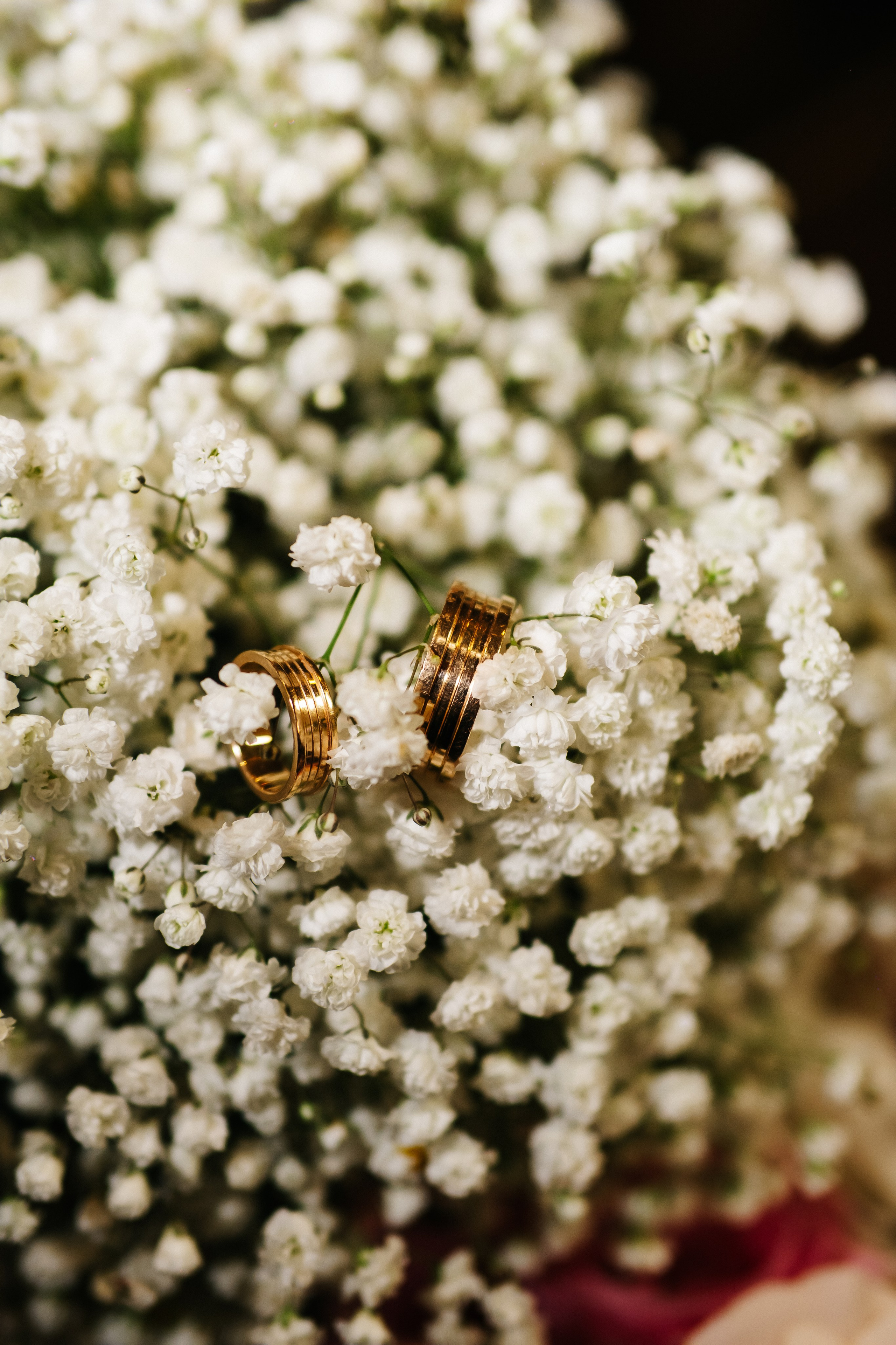 M&D. Grosu Photography