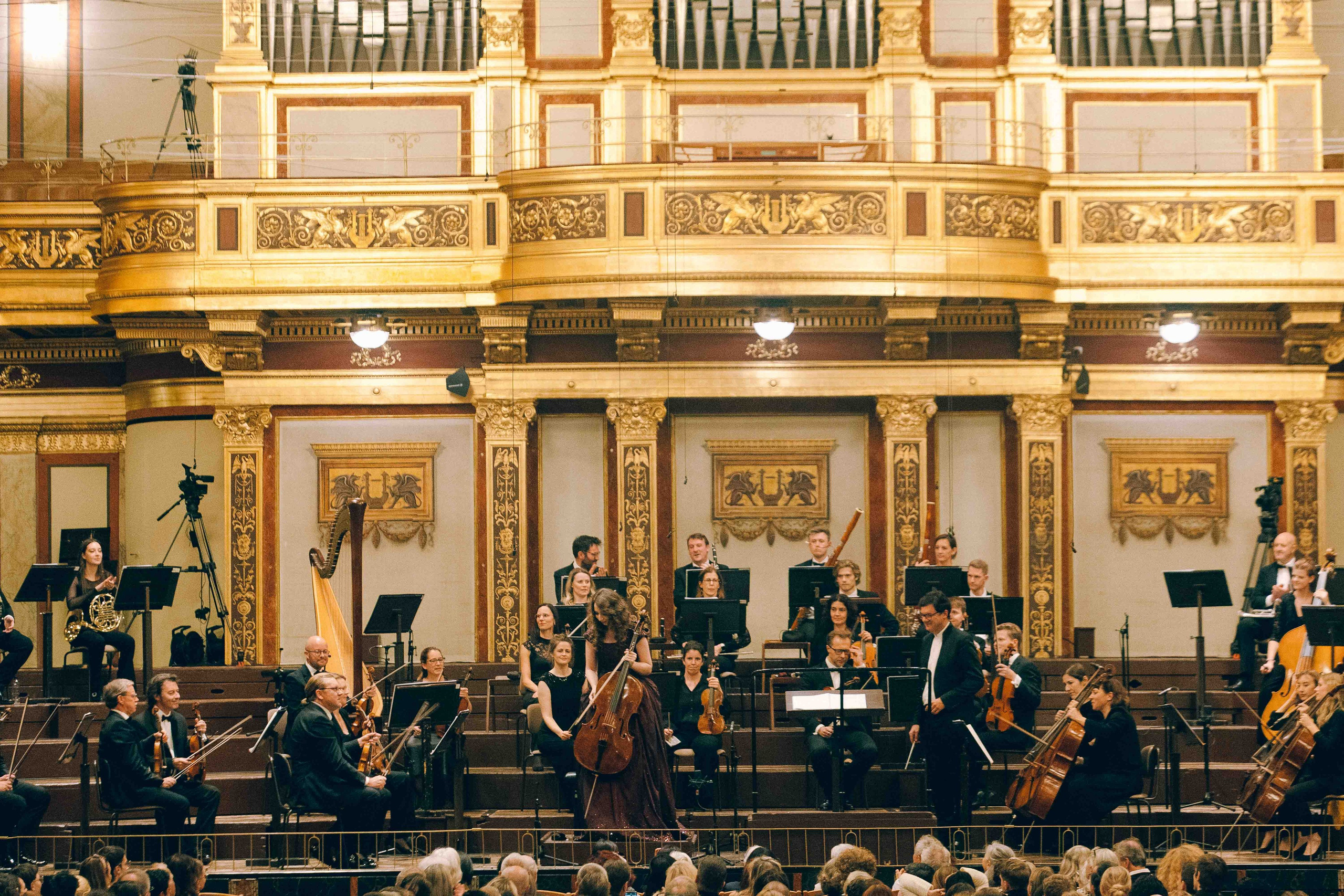 MUSIKVEREIN (VIENNA). Wedding&Event photographer Ismail Rzayev in Baku