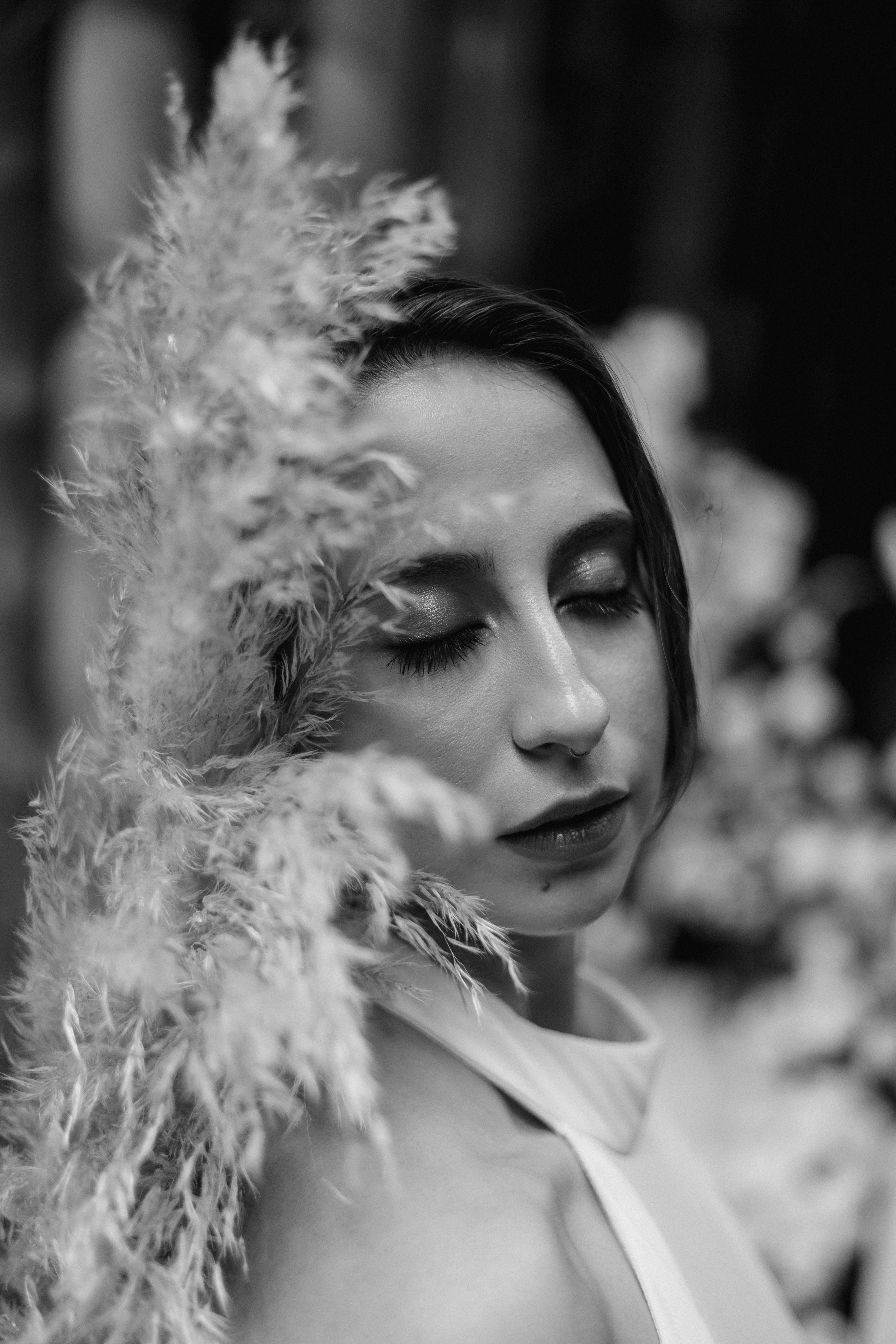 Editorial Dom Brunello