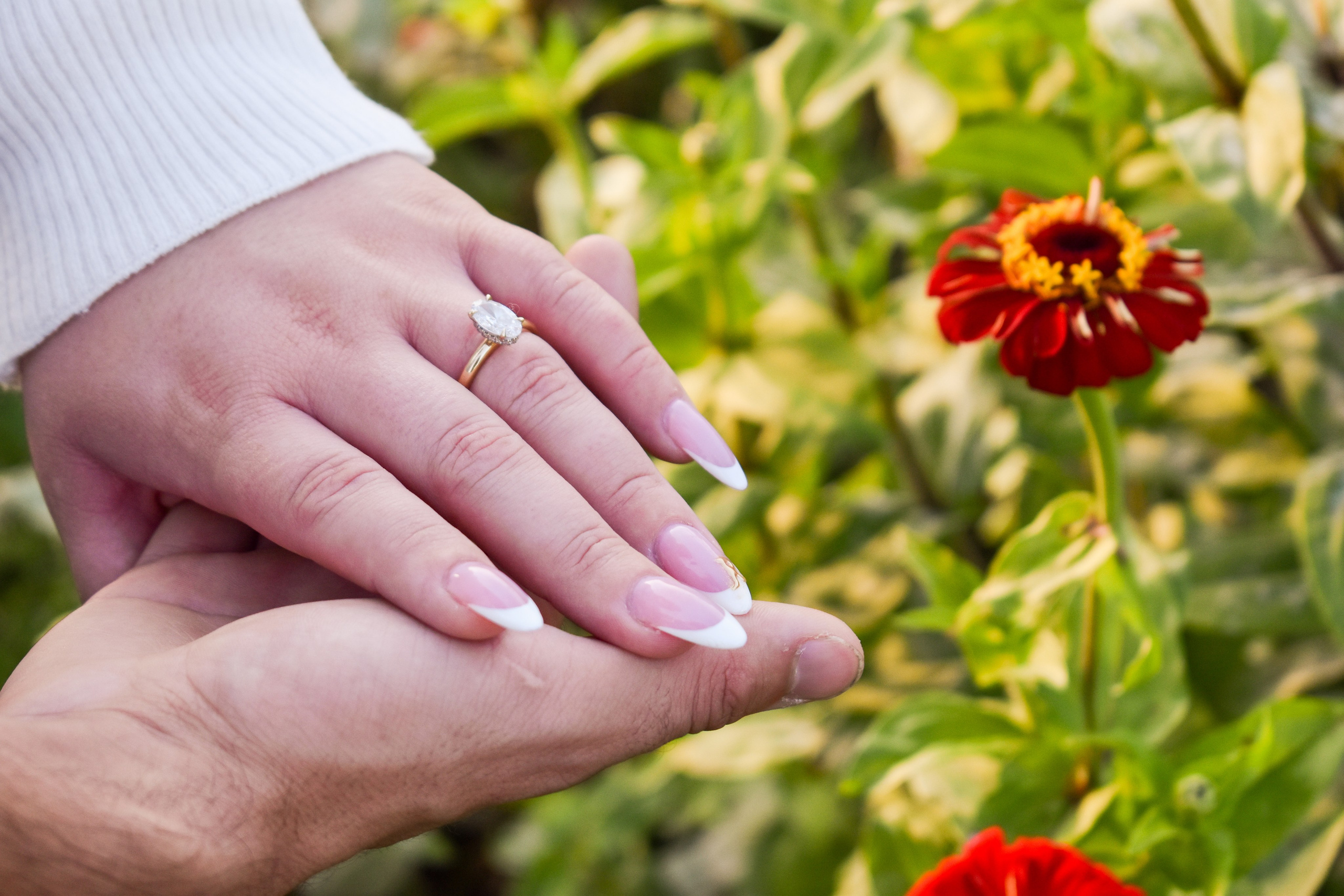 Sydney & Rio — Engagement Photoshoot. Main