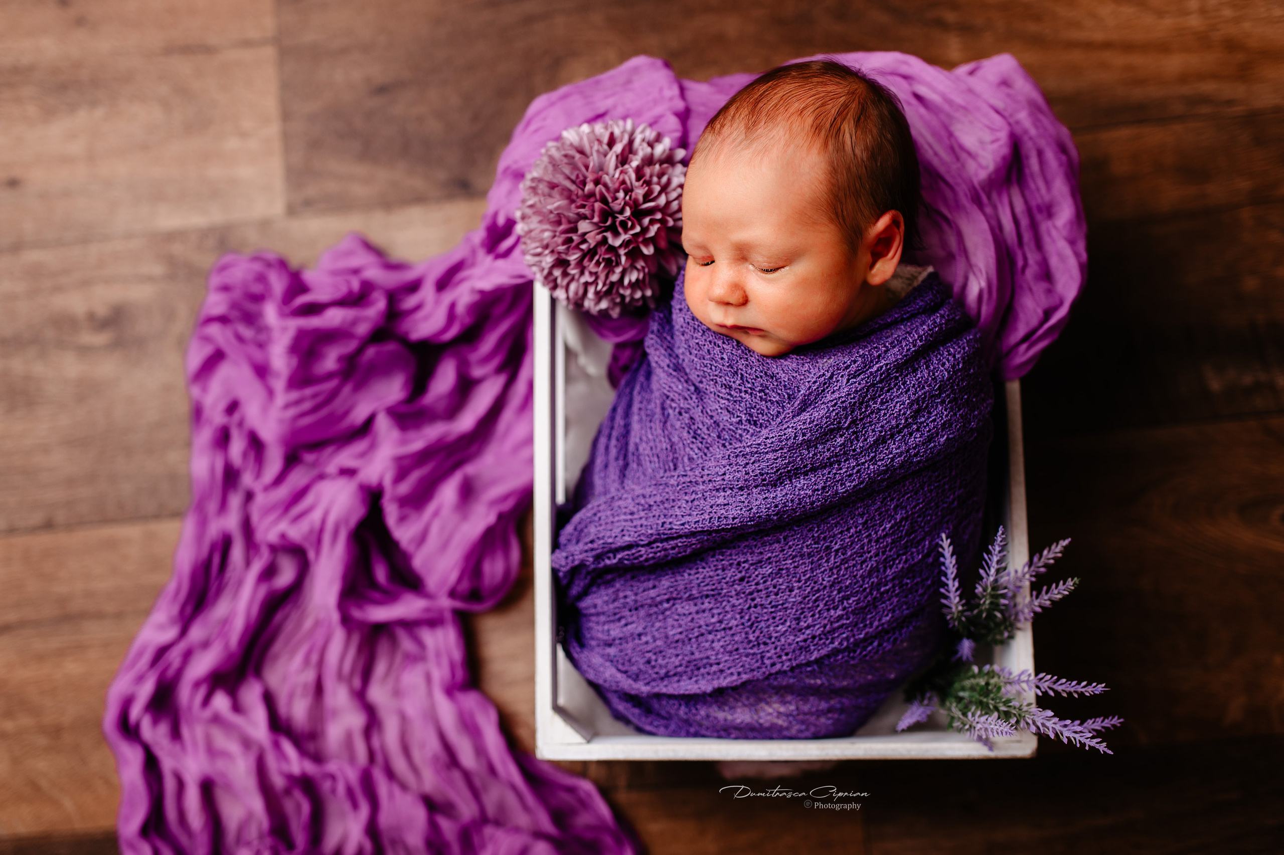 Theo. Dumitrasca Ciprian Photography