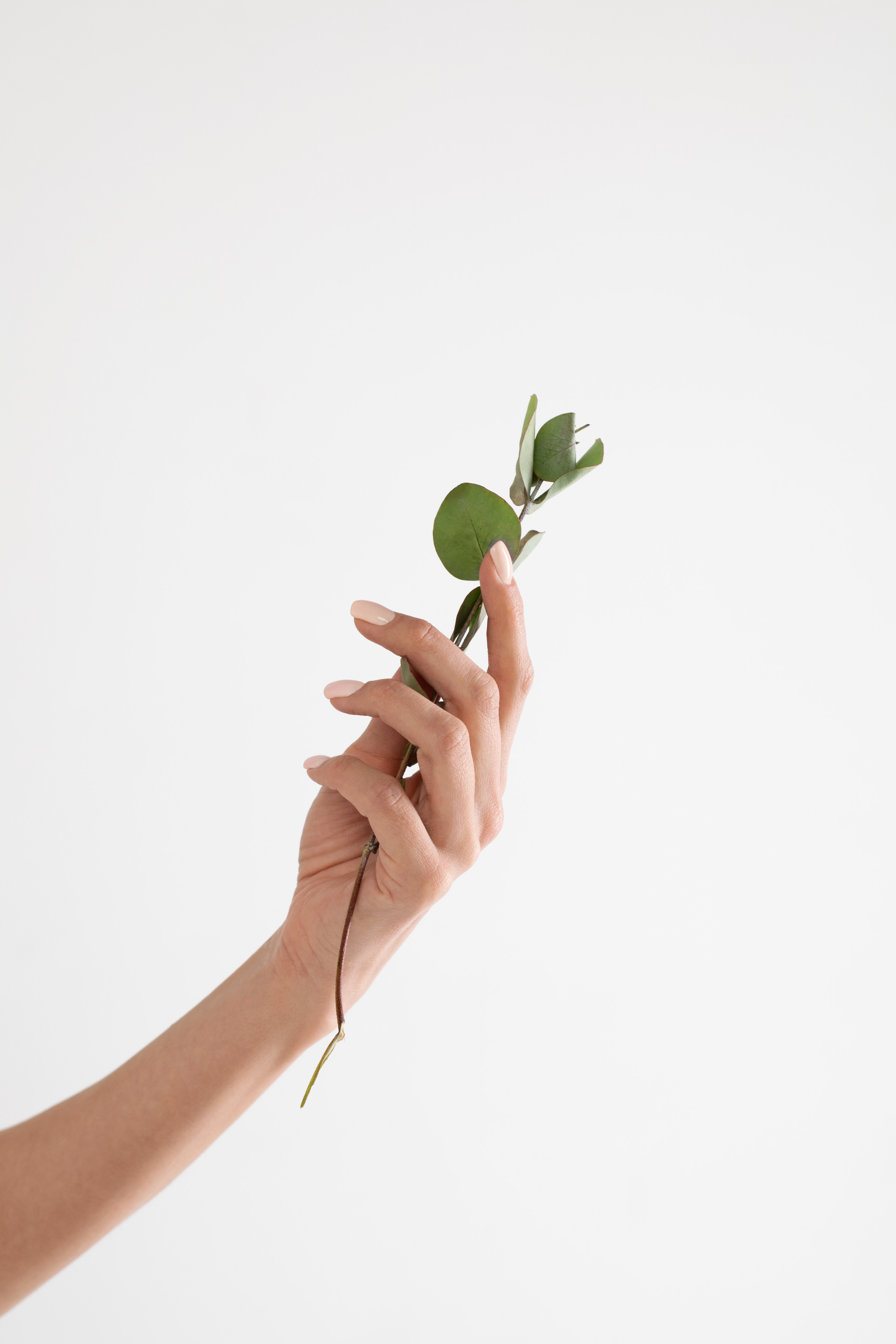 Project “Birth of Spring”. Portrait photographer Natalia Isavtseva Los Angeles LA