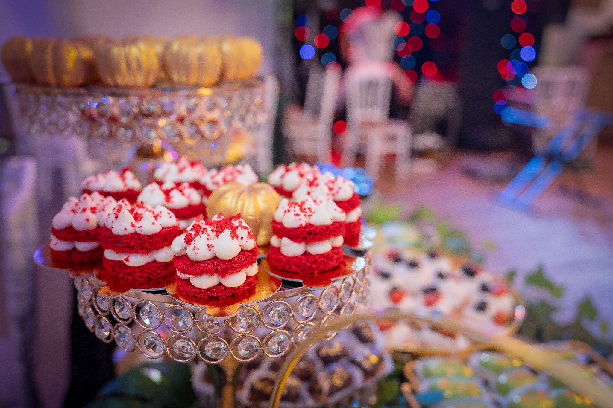 Milan. Fotograf Timisoara — GradArt Concept