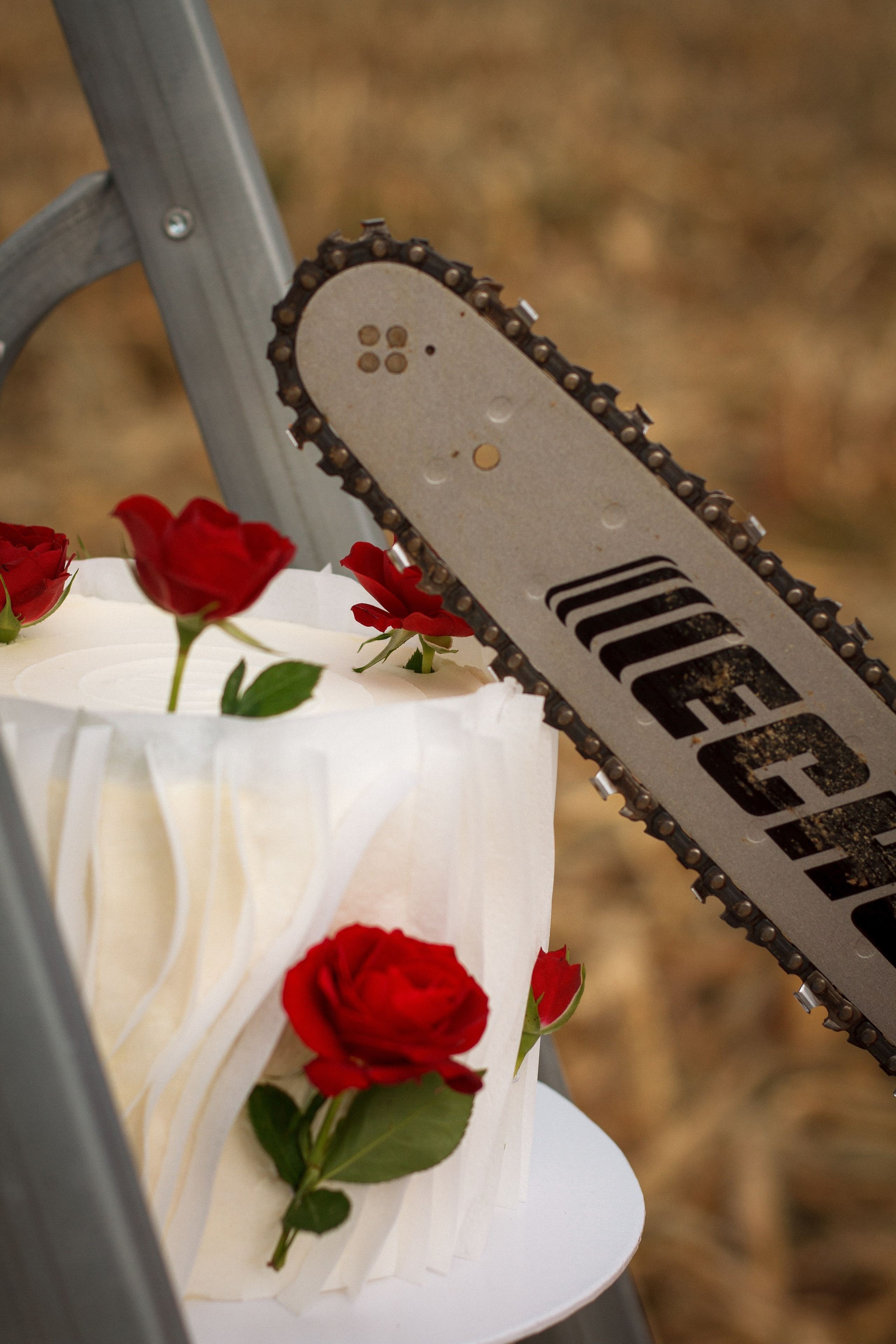 Progetti creativi. Fotografa a Legnano e Novara — famiglie, coppie, ritratti, Love Story, passeggiate fotografiche e servizi a Milano per turisti