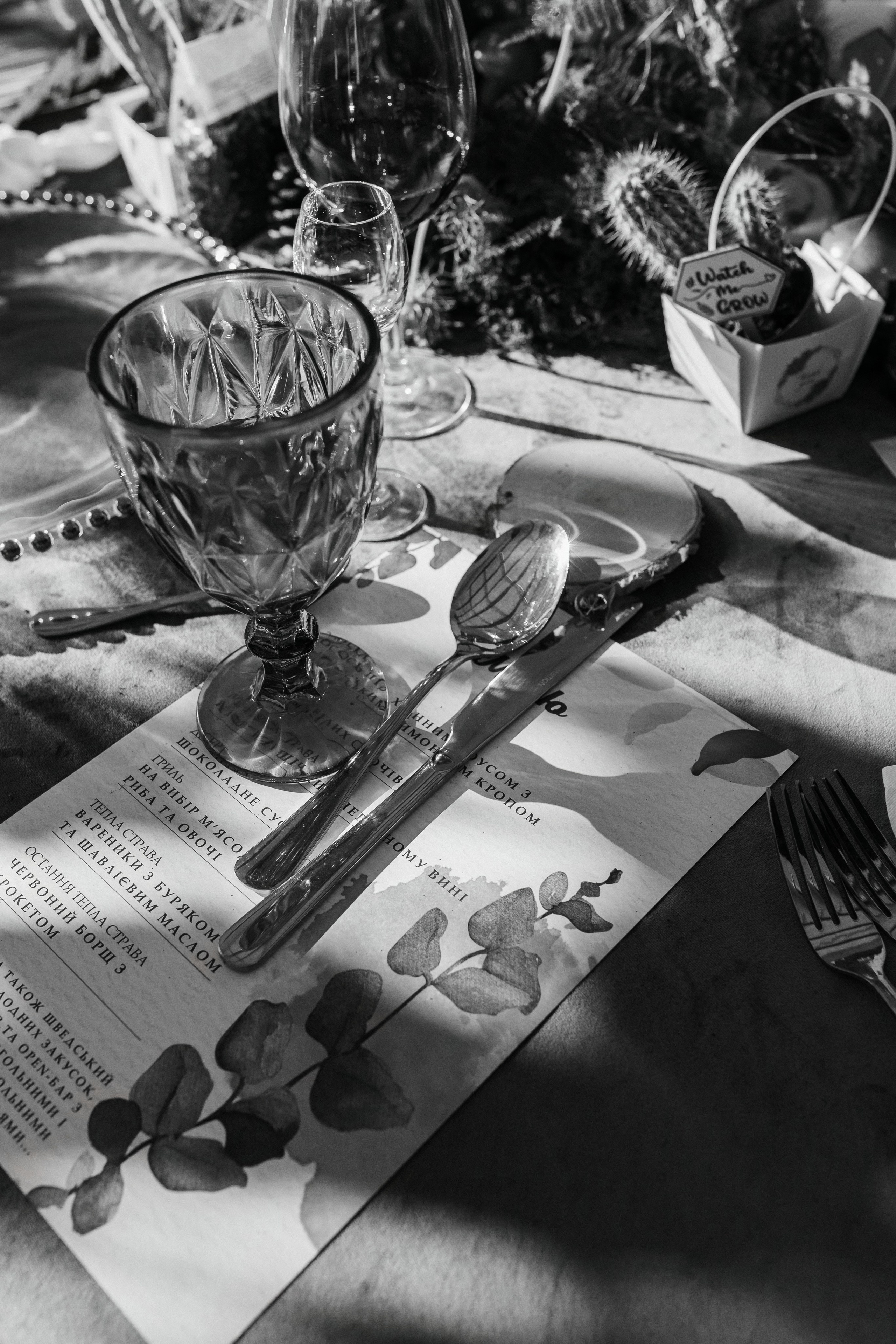 Janina & Wladek. Dworzyszcze Wola. 23.07.2025. Fotograf ślubny i rodzinny w Krakowie Yana Klymova