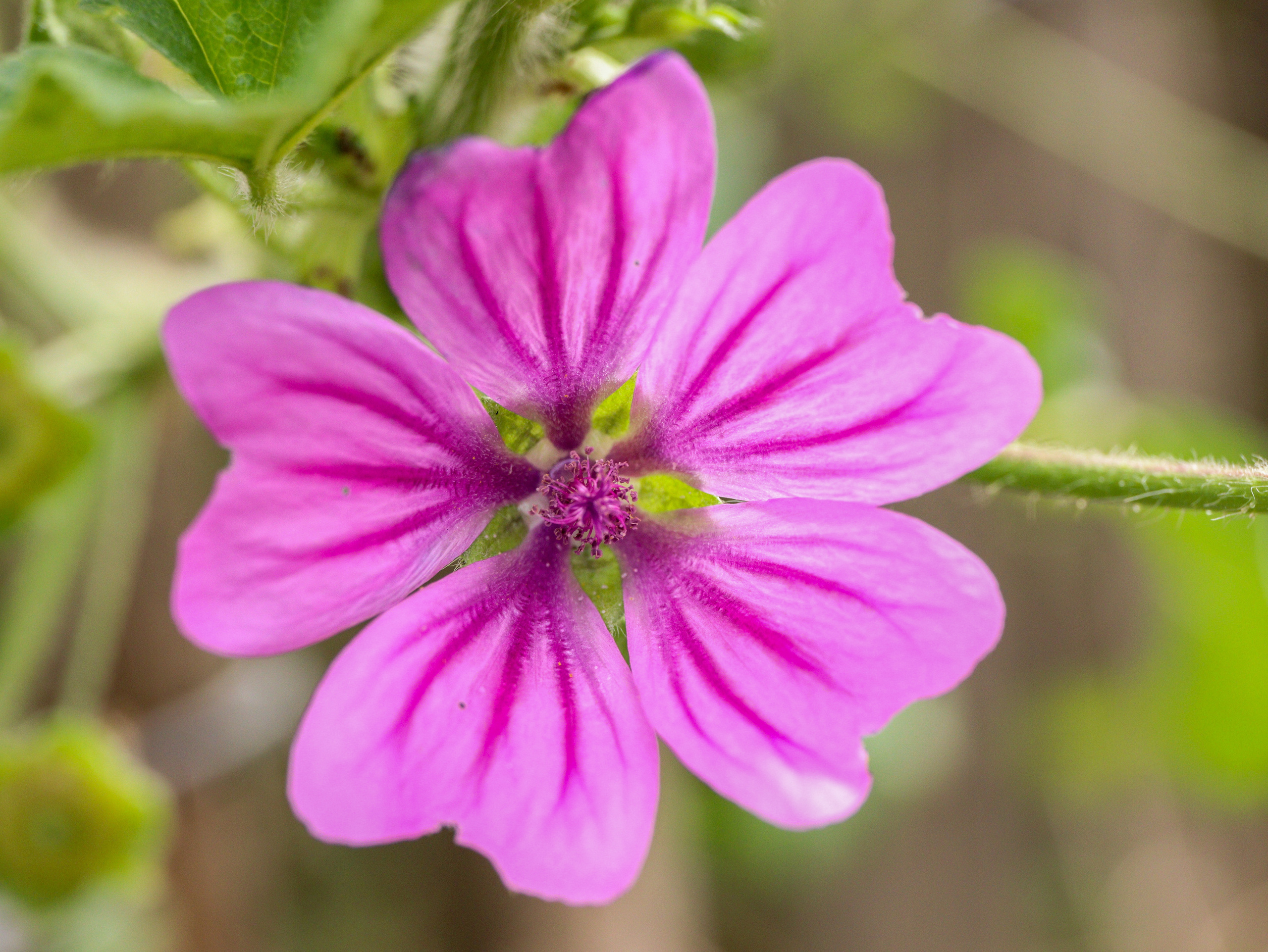 Out and About. Sam Jobi Media