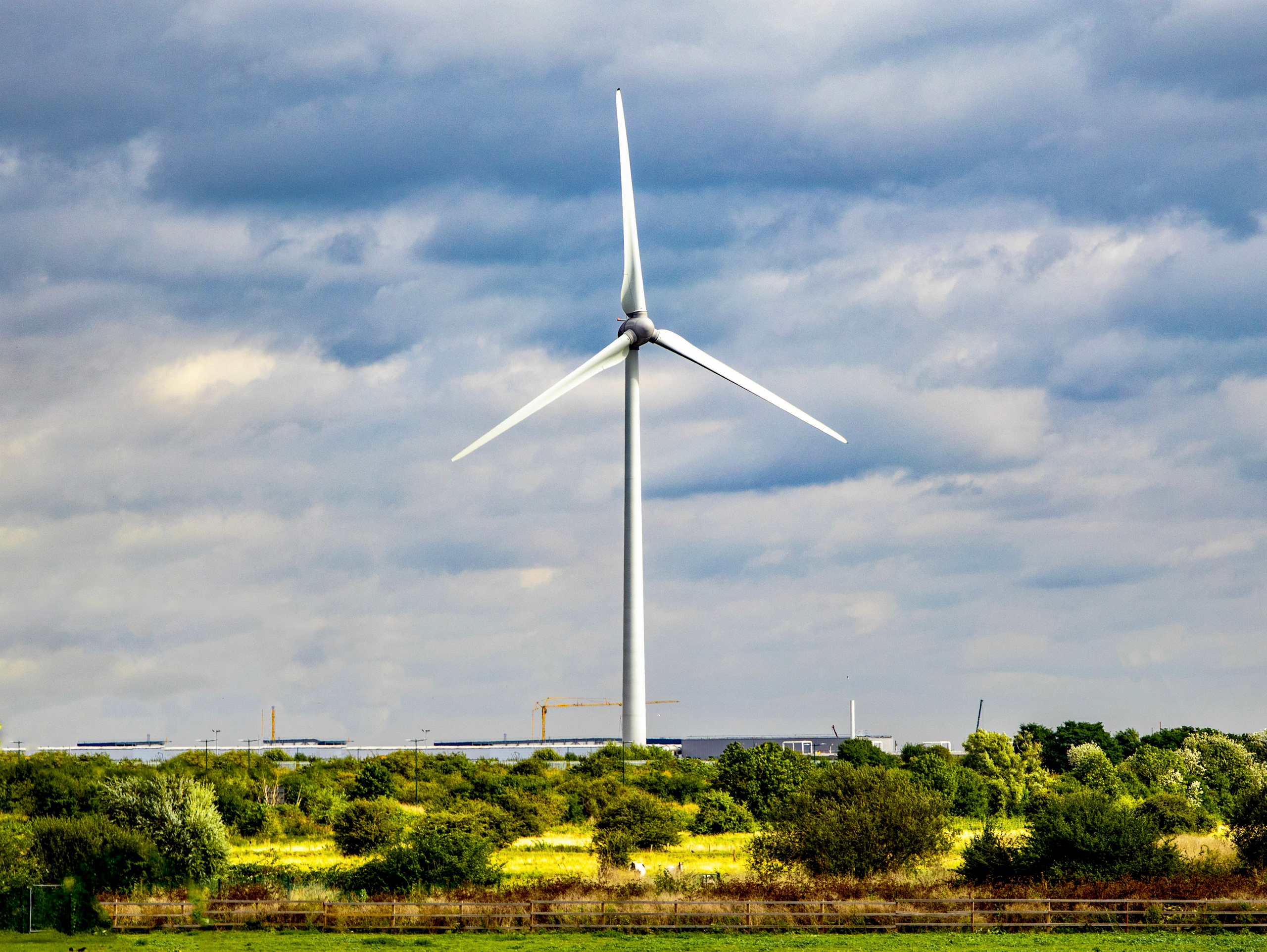 Out and About. Sam Jobi Media