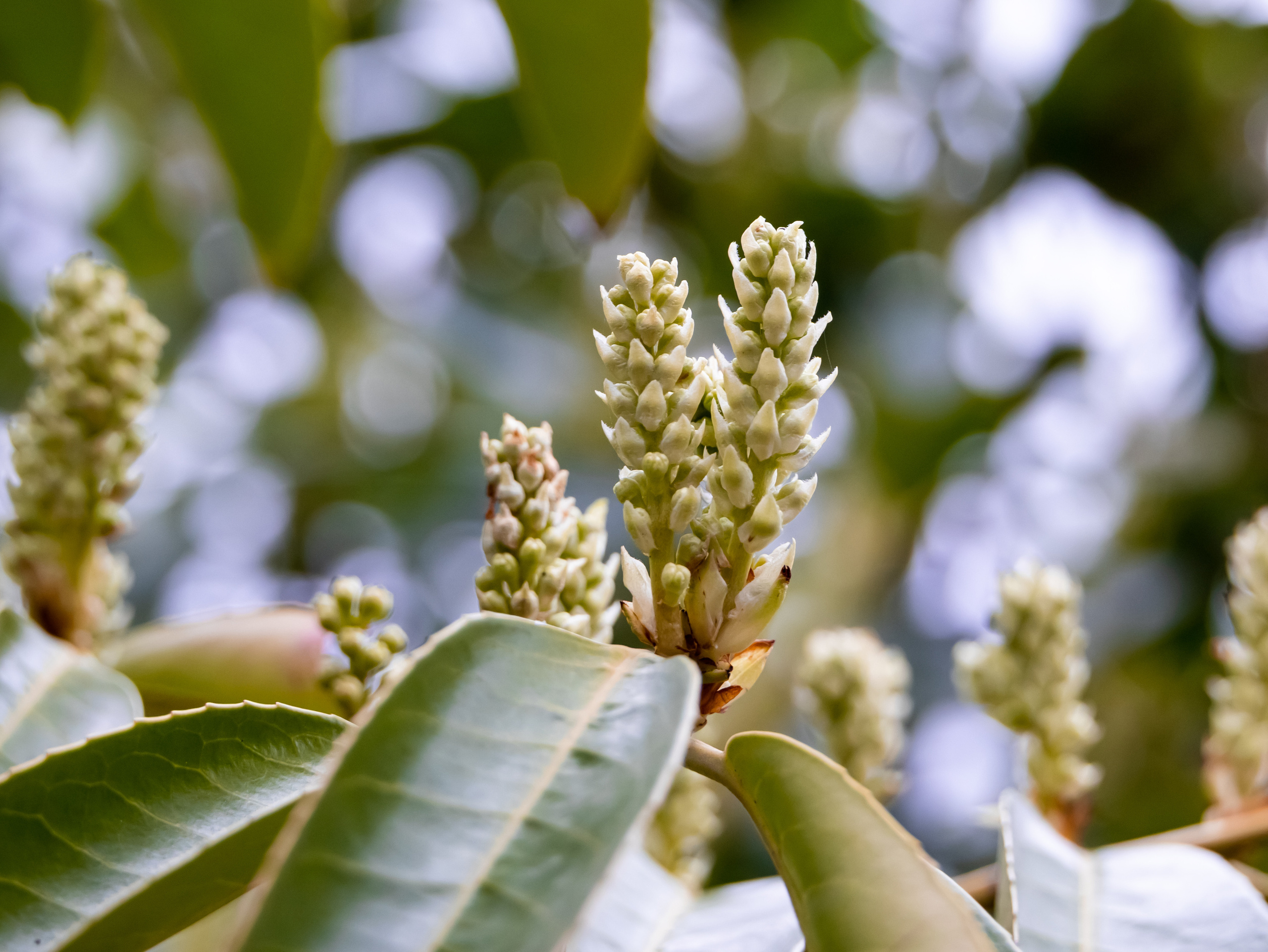 Out and About. Sam Jobi Media