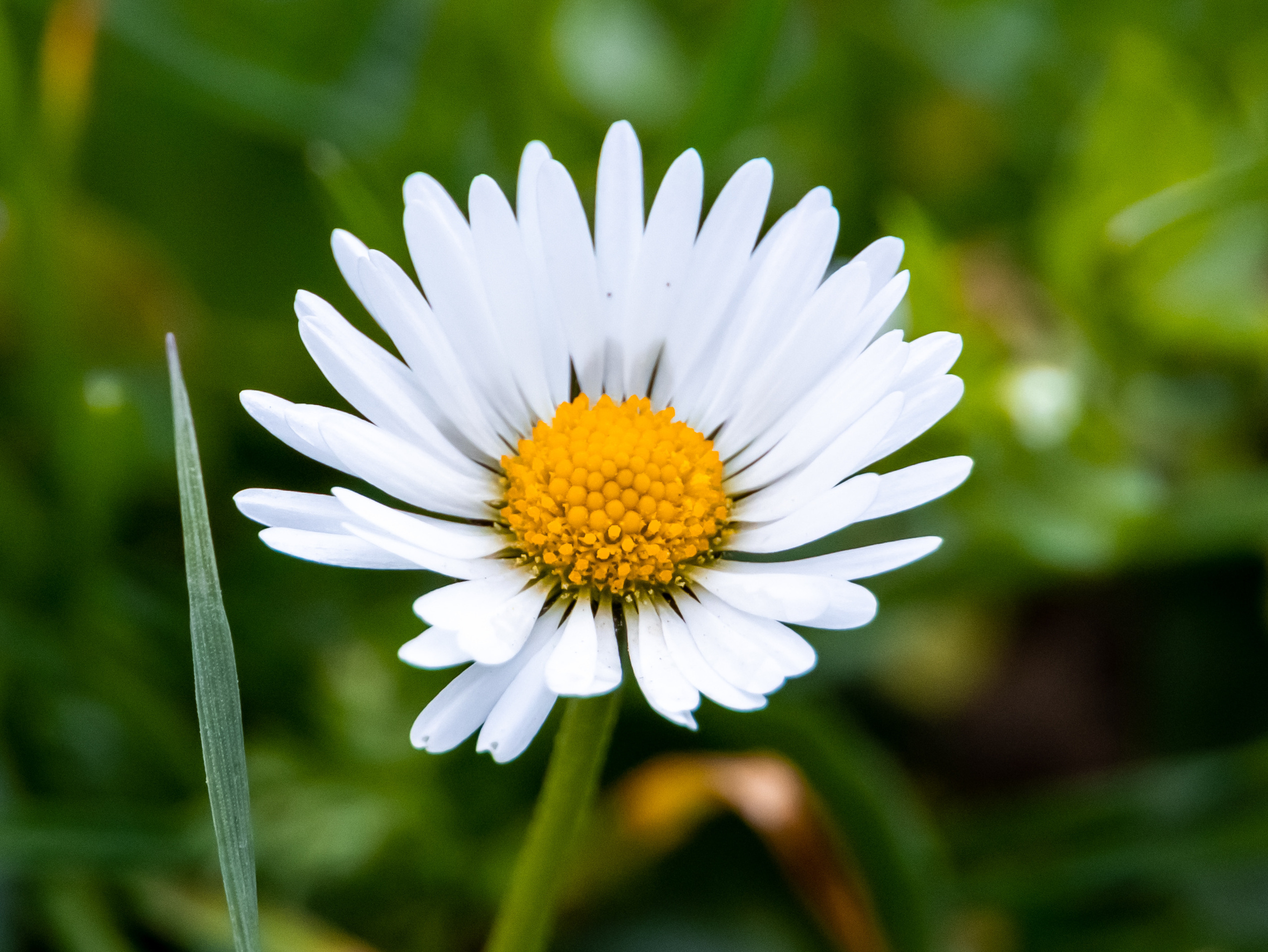 Out and About. Sam Jobi Media