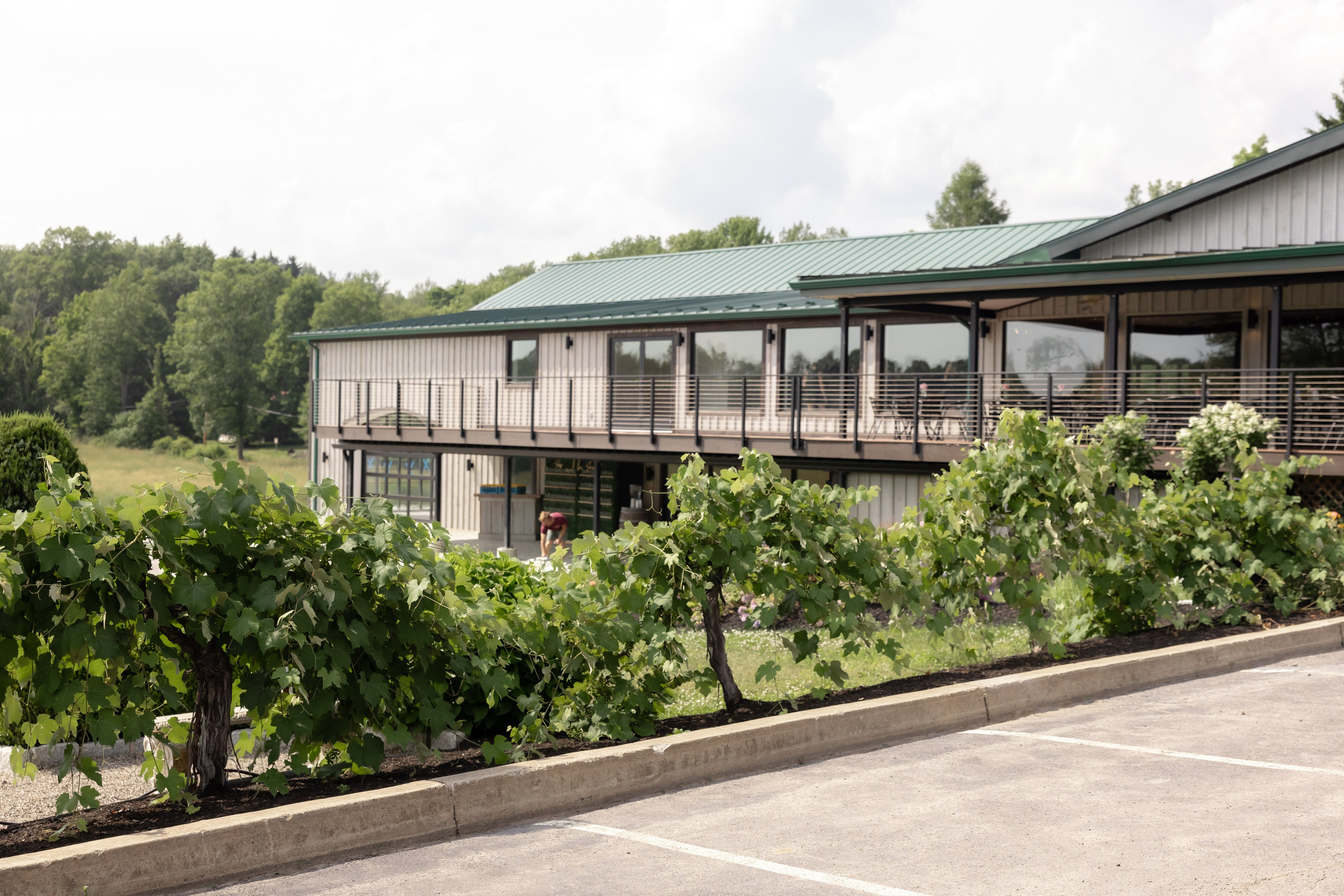 Angelica & Conor. Wedding Photo & Video