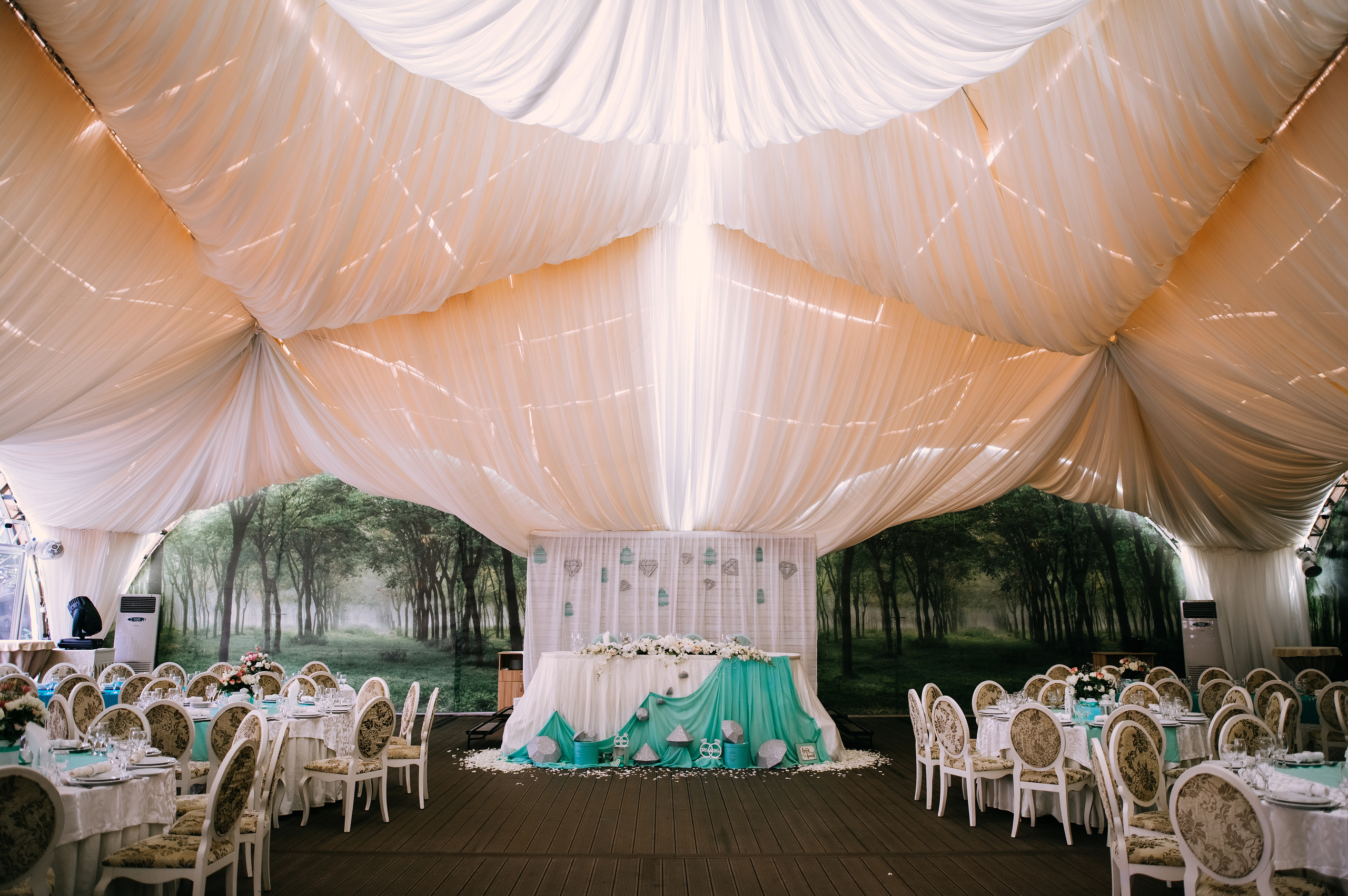 Tatiana & Constantin. Fotograf de familie și evenimente