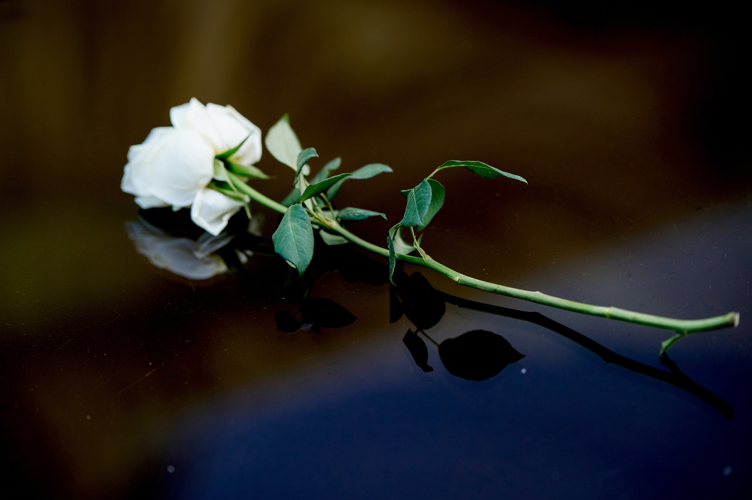 Tatiana & Constantin. Fotograf de familie și evenimente