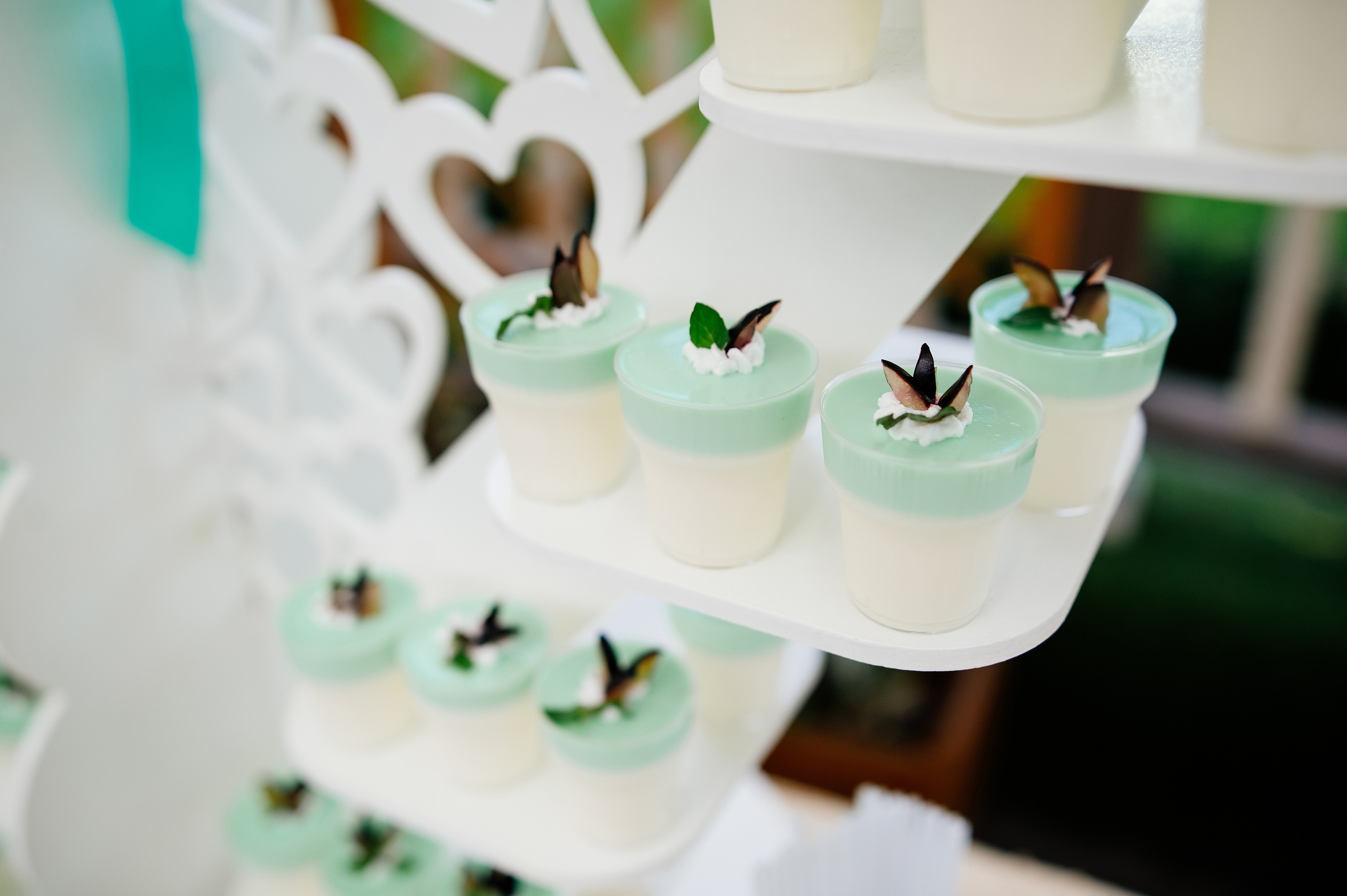 Tatiana & Constantin. Fotograf de familie și evenimente