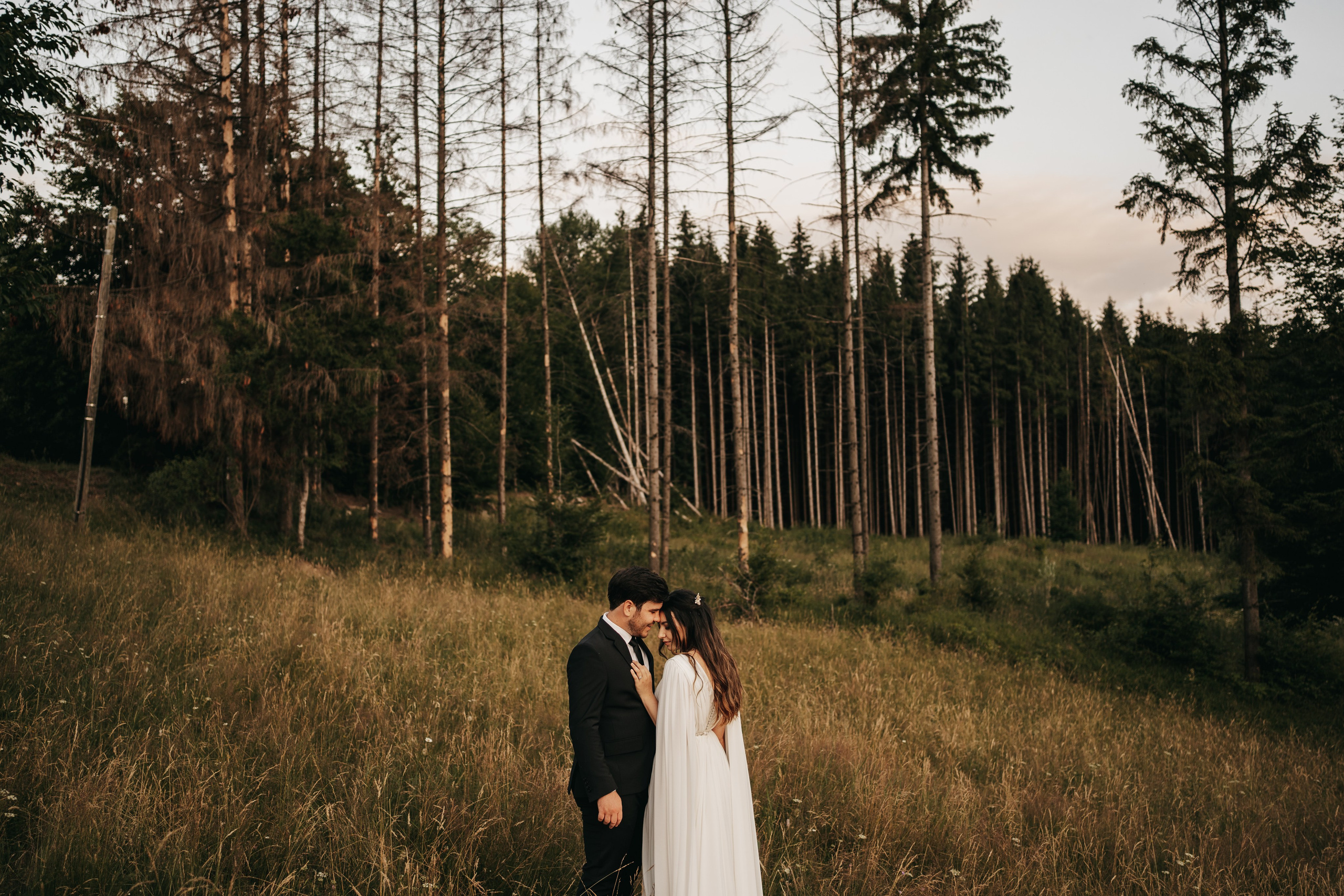 A & A. Fotograf Nunta Iasi - Hearts & Pictures