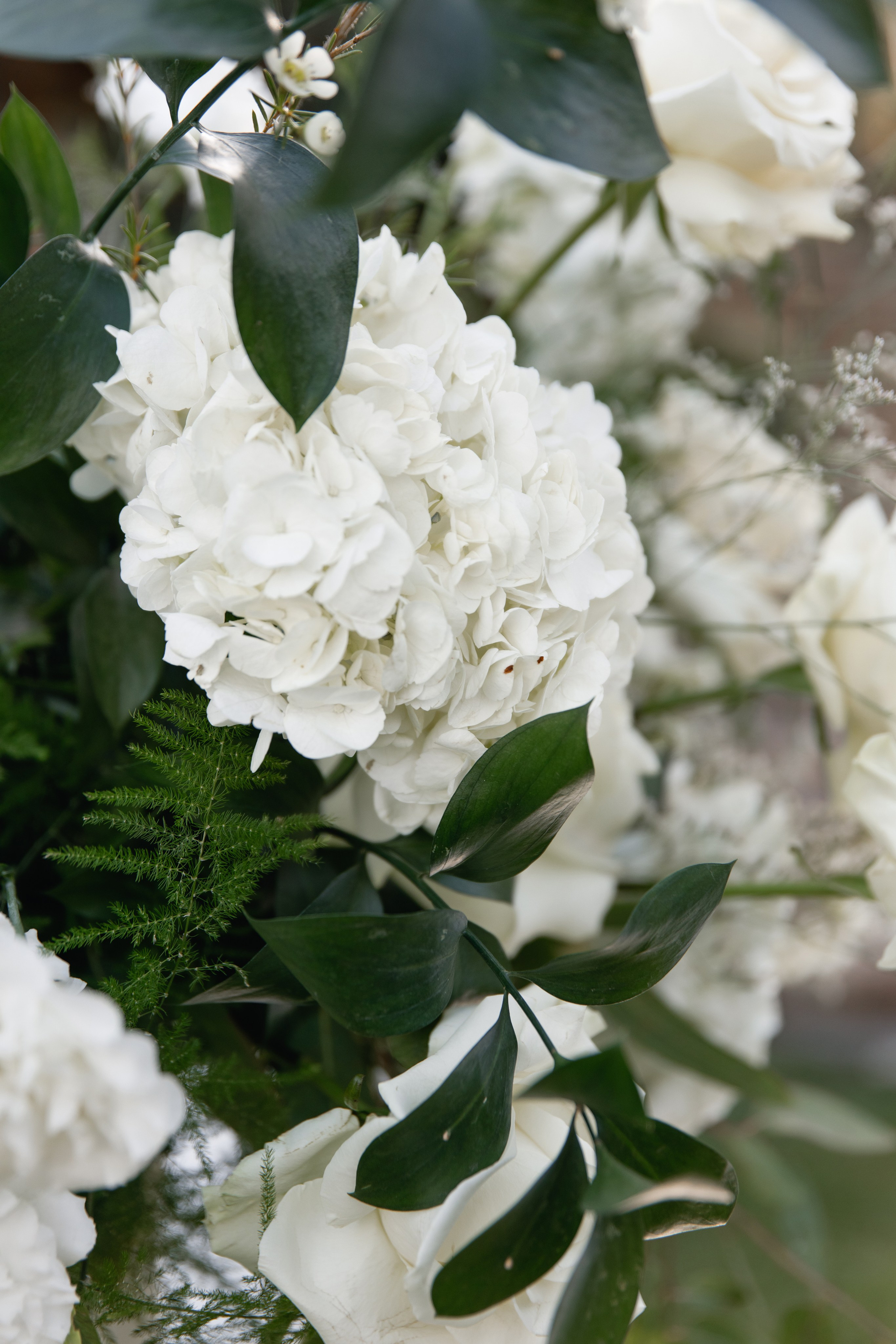 Wedding photographer Italy Rome, Tuscany, Lake Como, Sicily, Puglia. Wedding Photographer Rome Tuscany Como Sicily Puglia Amalfy Italy- Oksana Savenchuk