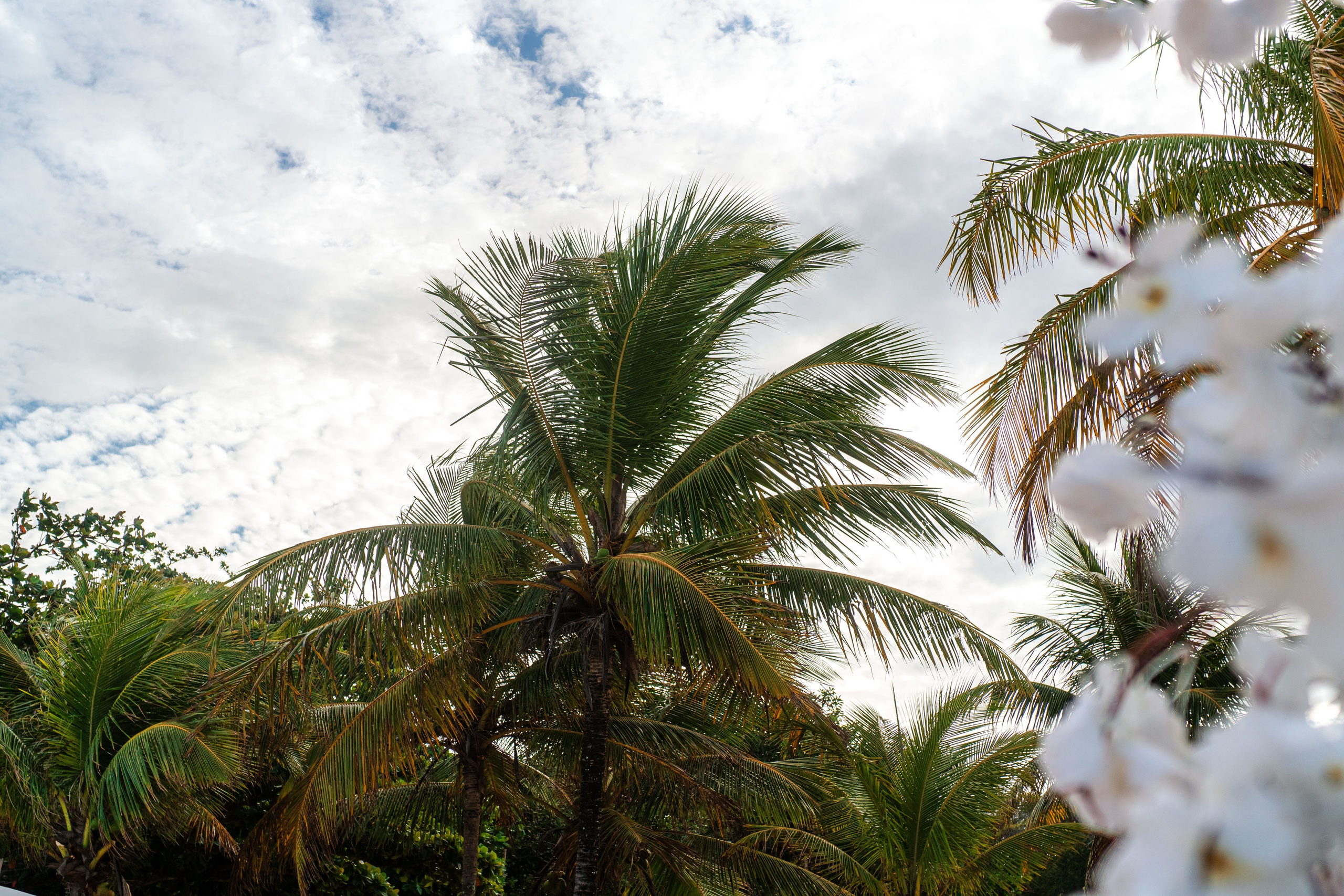 Casamento - Elô & Gui