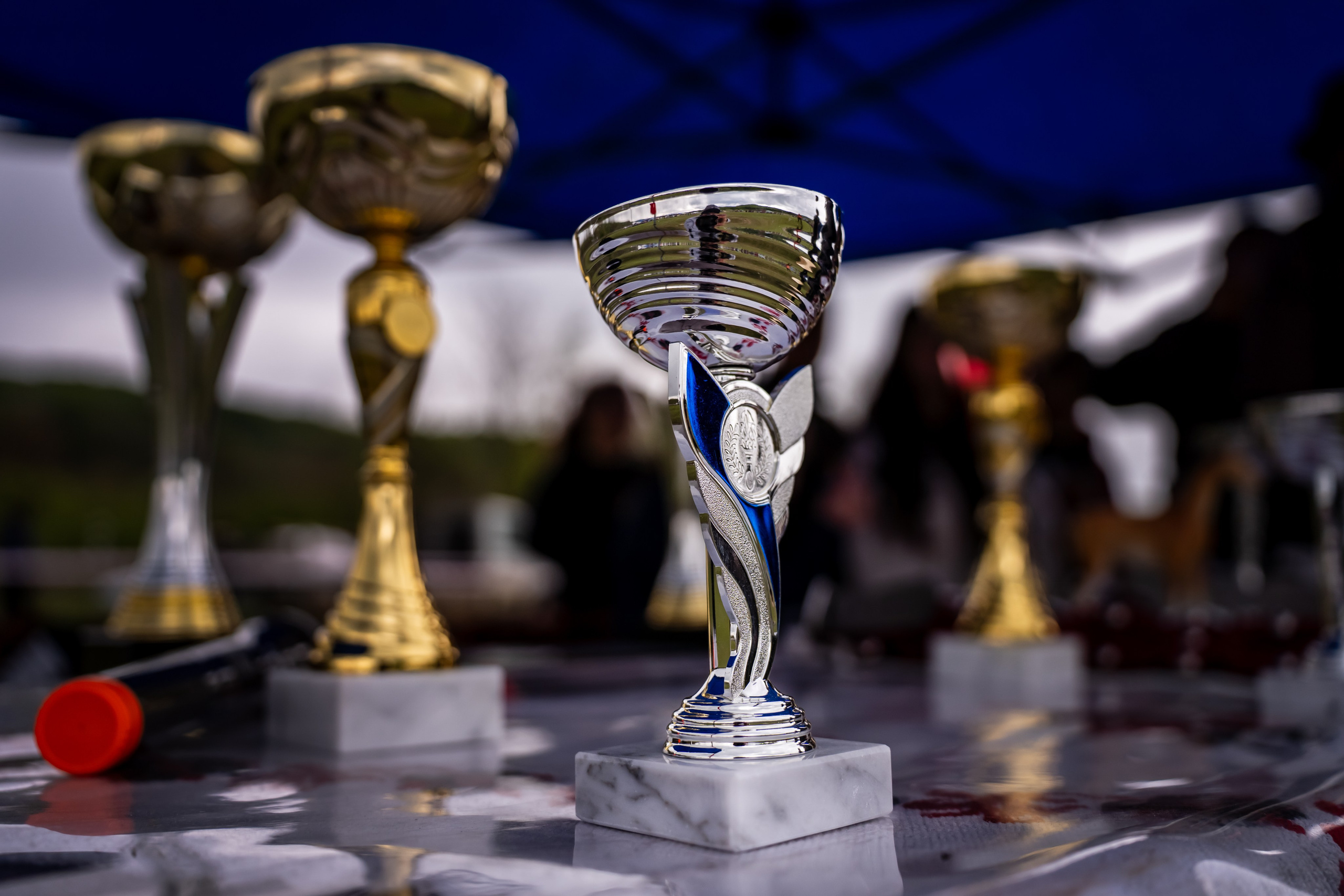 Concurs Ecvestru Vărbilău ediția a 4-a. Mihai Alexandra Events