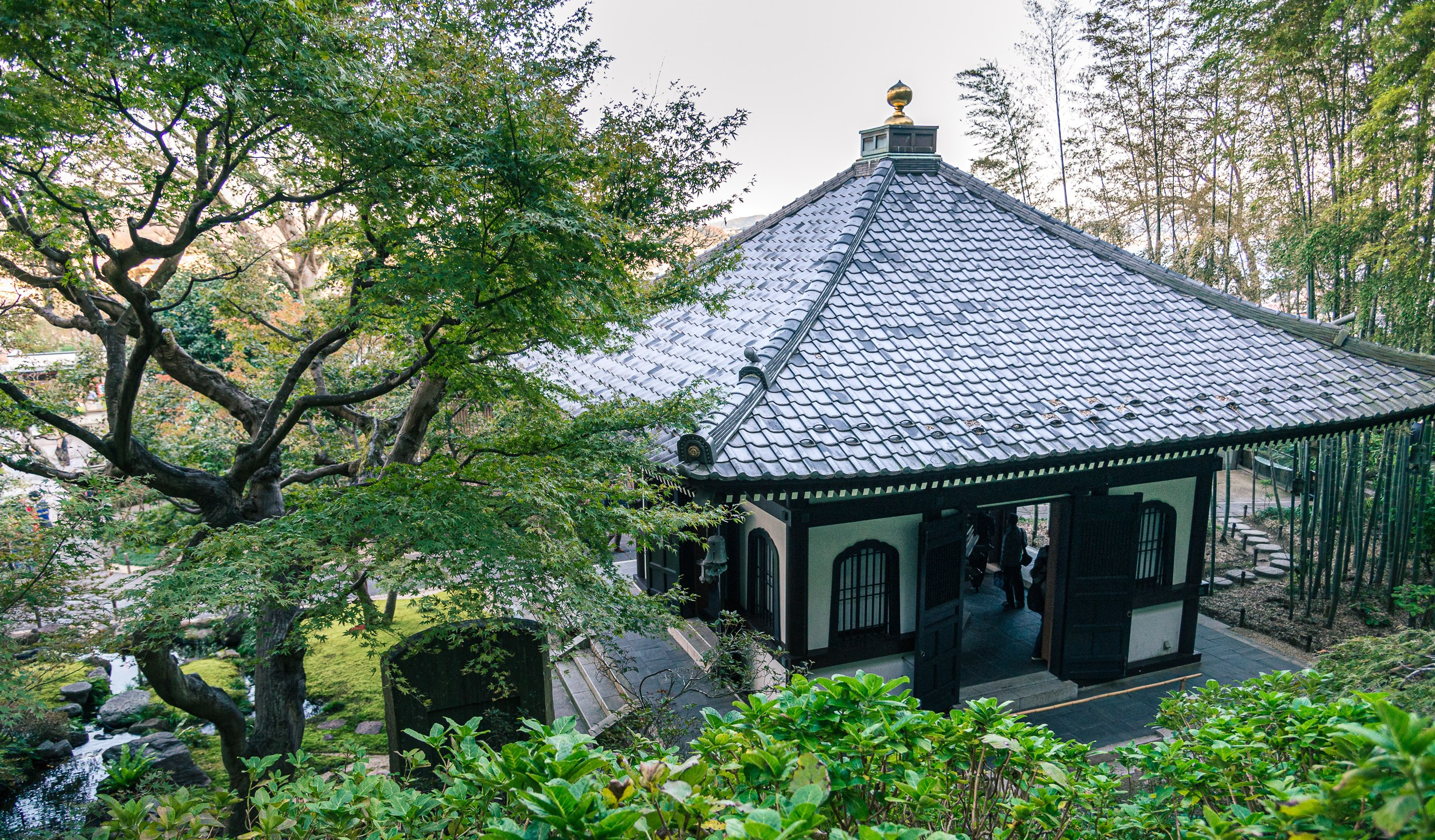 Japan. Marius Ciocan