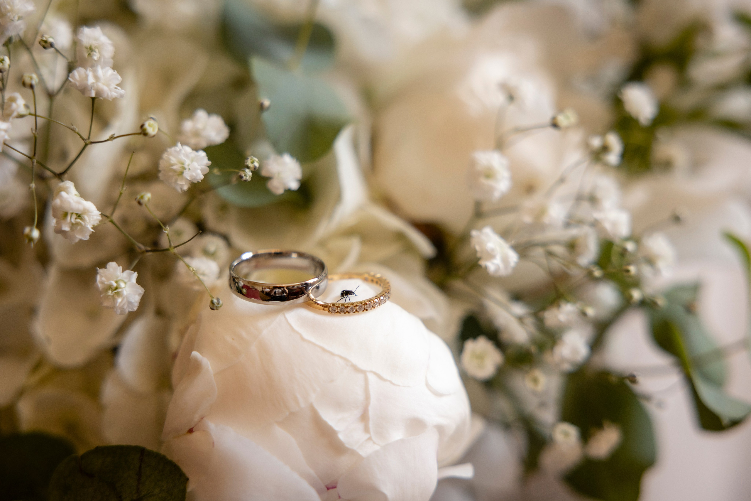 Château Sentout, Bordeaux. Eugénie Smirnova — Photographe à Toulouse et dans le Sud-Ouest