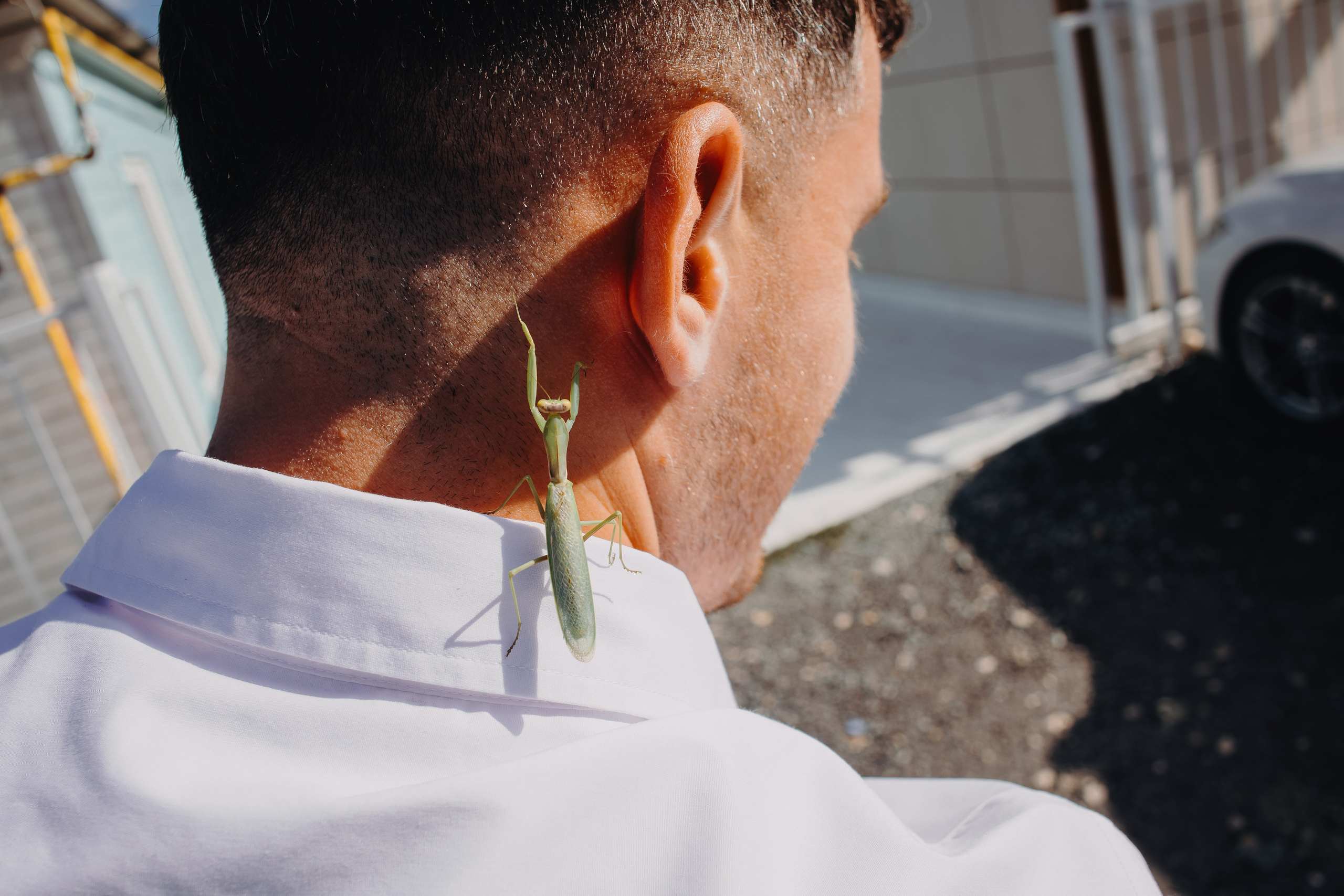 ANDREEA & RAZVAN - SAVE THE DATE. Fotograf Nuntă | Lucian Murgeanu - Fotograf Profesionist Evenimente