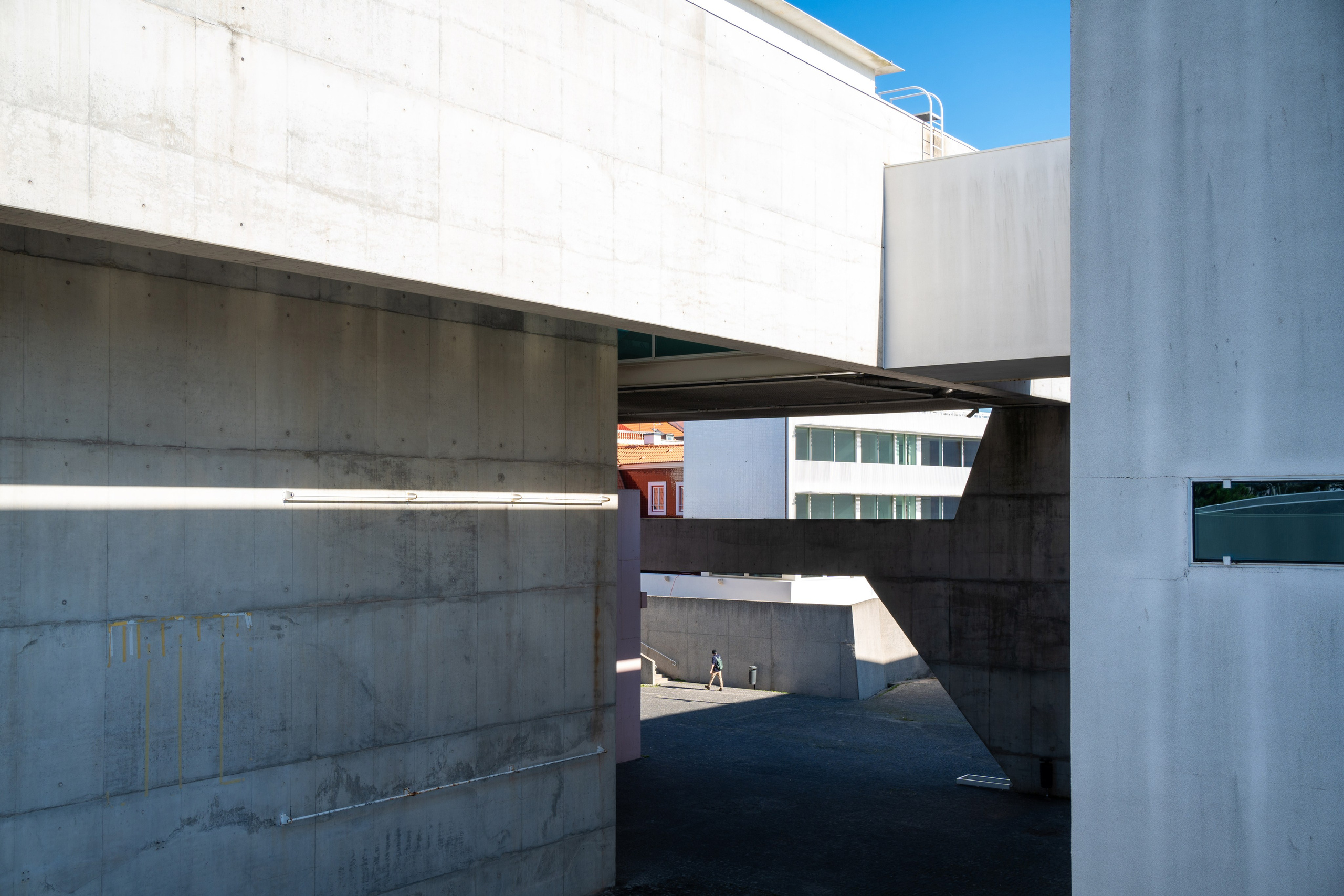 Работы Марии Шер. Sher.SCHOOL