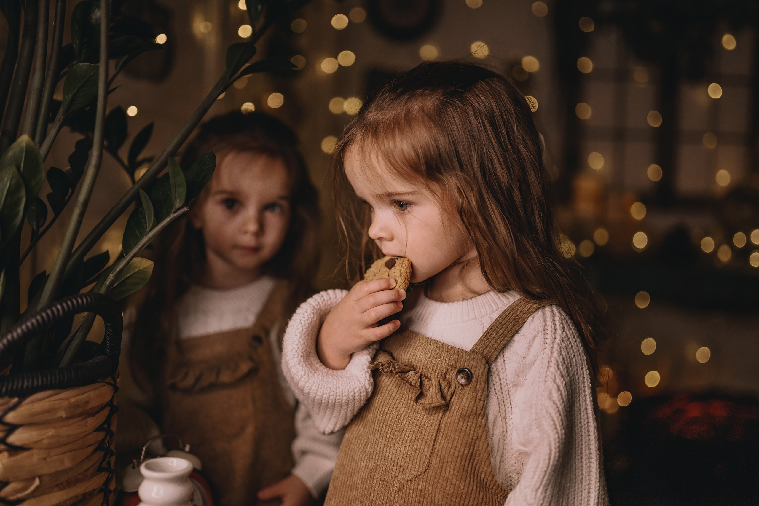 11.26.2025 Christmas Photoshoot. Wedding family event photographer in Chicago Nick Yushevich