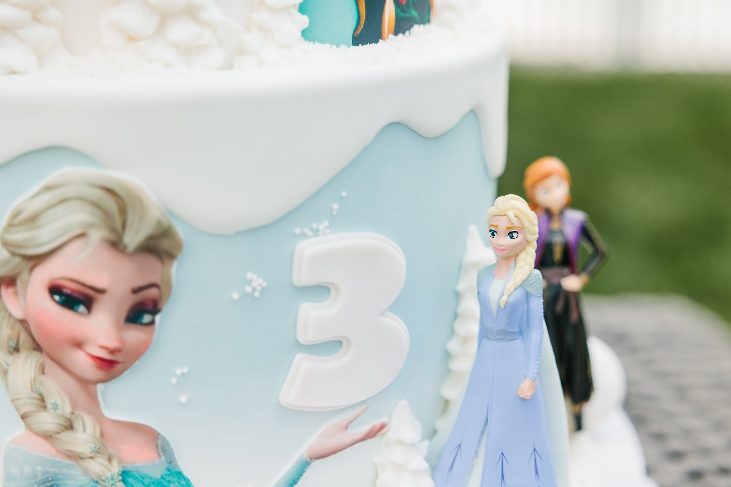 07.27.2024 Birthday Party. Wedding family event photographer in Chicago Nick Yushevich