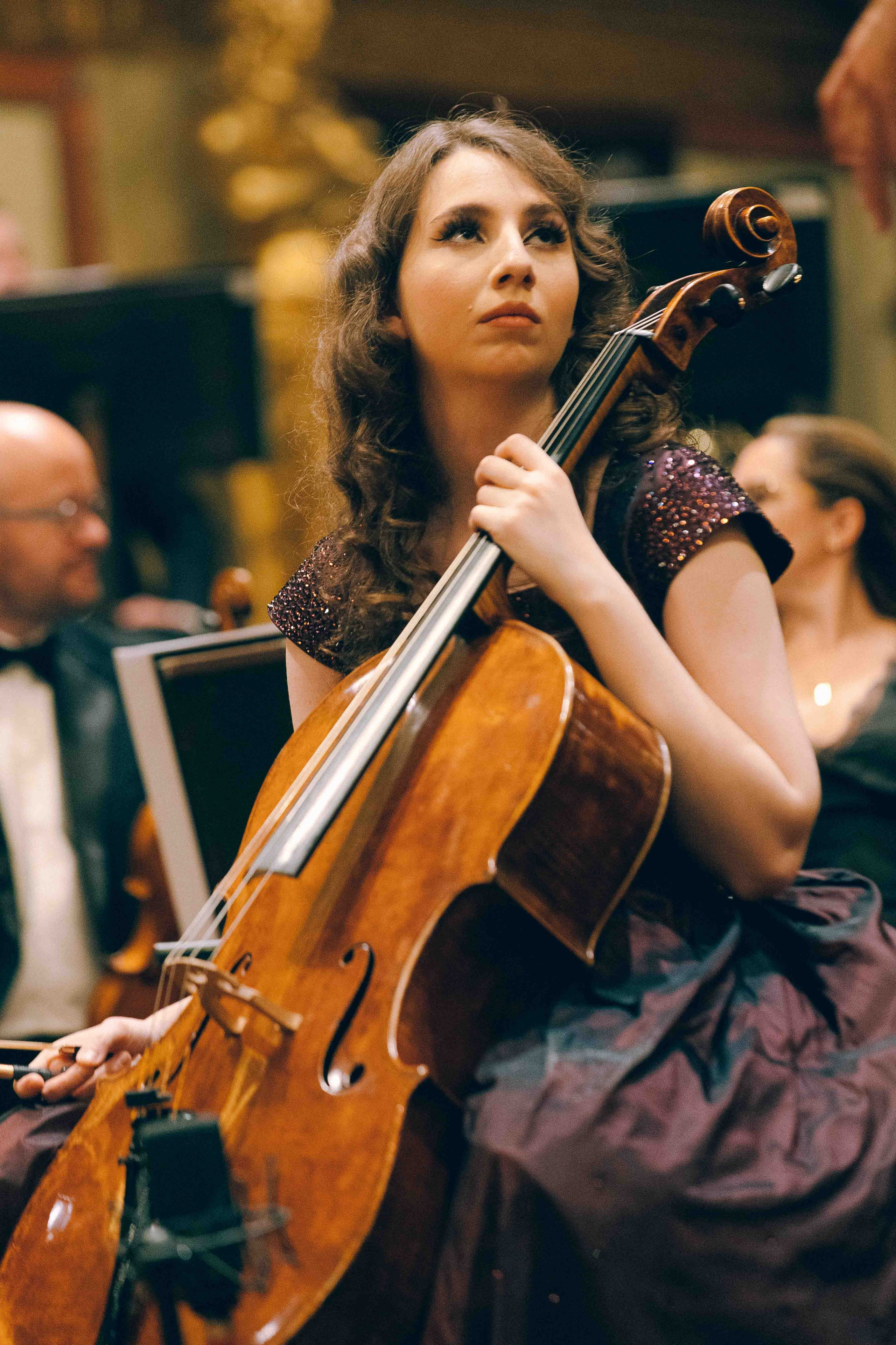 MUSIKVEREIN (VIENNA). Wedding&Event photographer Ismail Rzayev in Baku