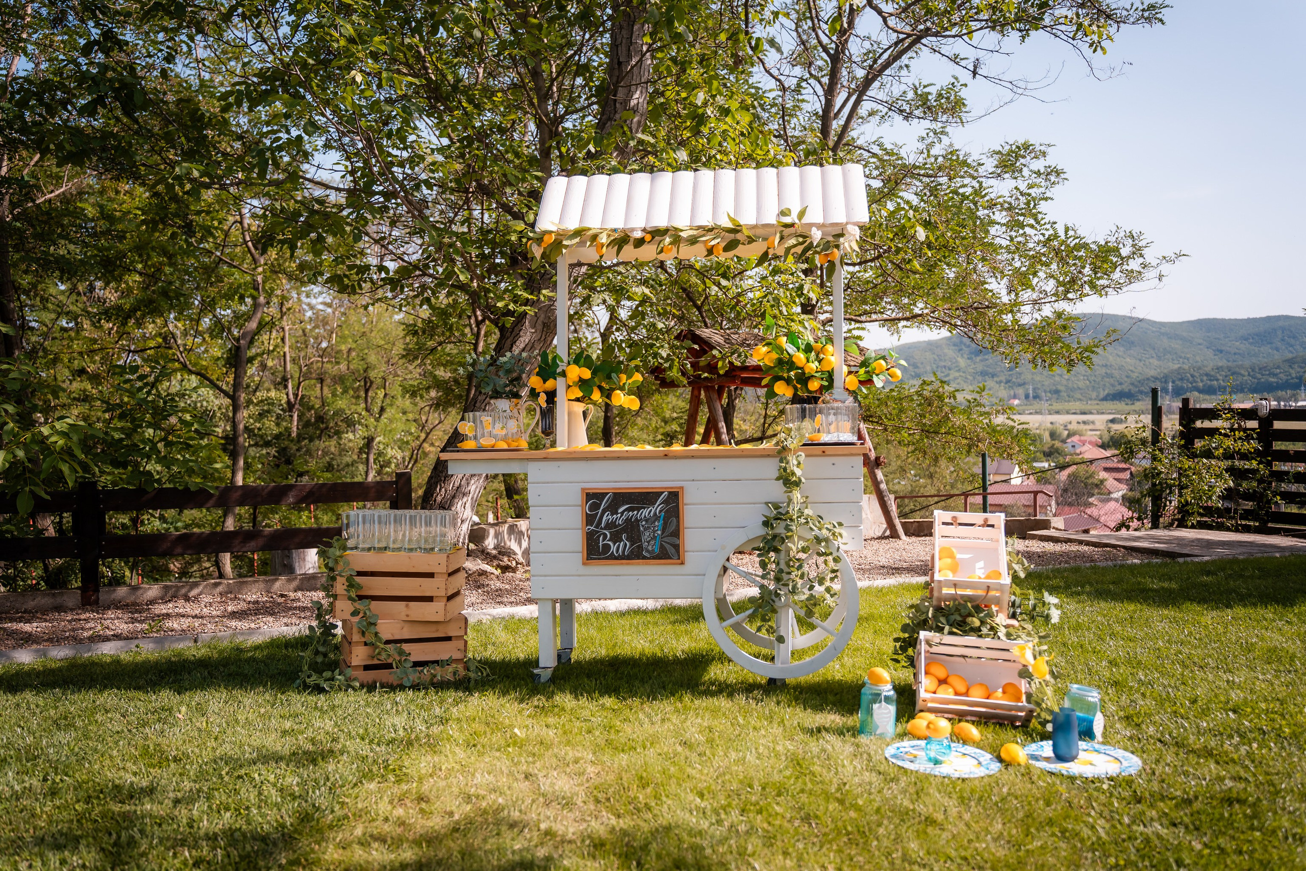 Cununie Sasha & Antonia