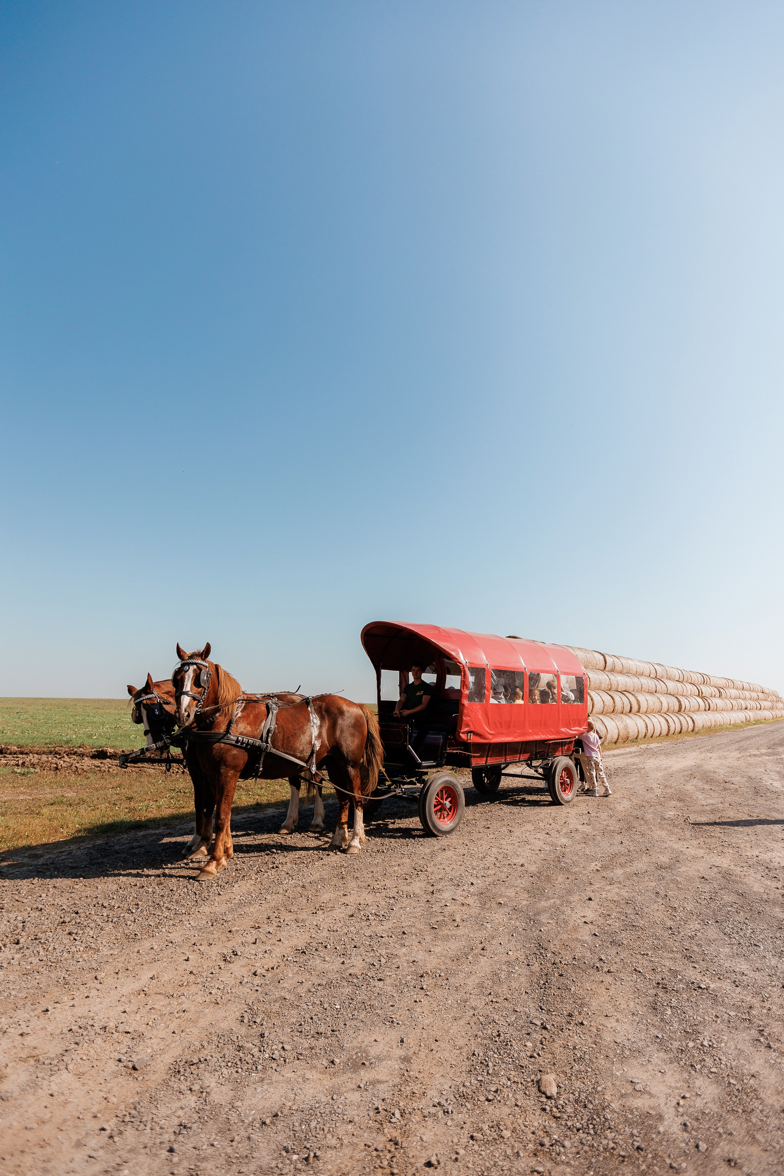 Екопарк Аміла. Ірина Терещук