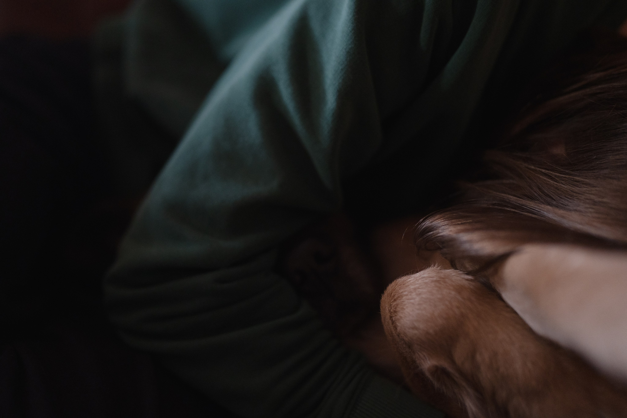 Alena, Vlad and their son Lev. Main