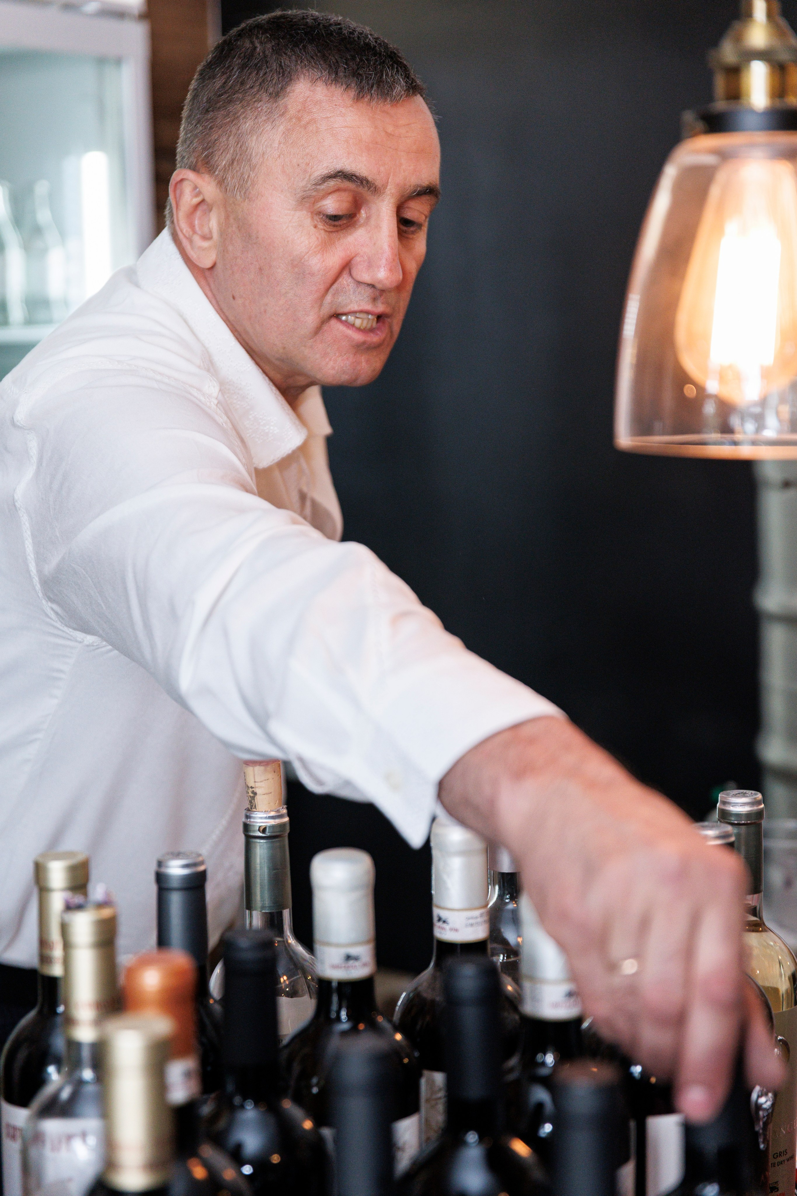 Hora Dorului 2025. Dienstleistungen