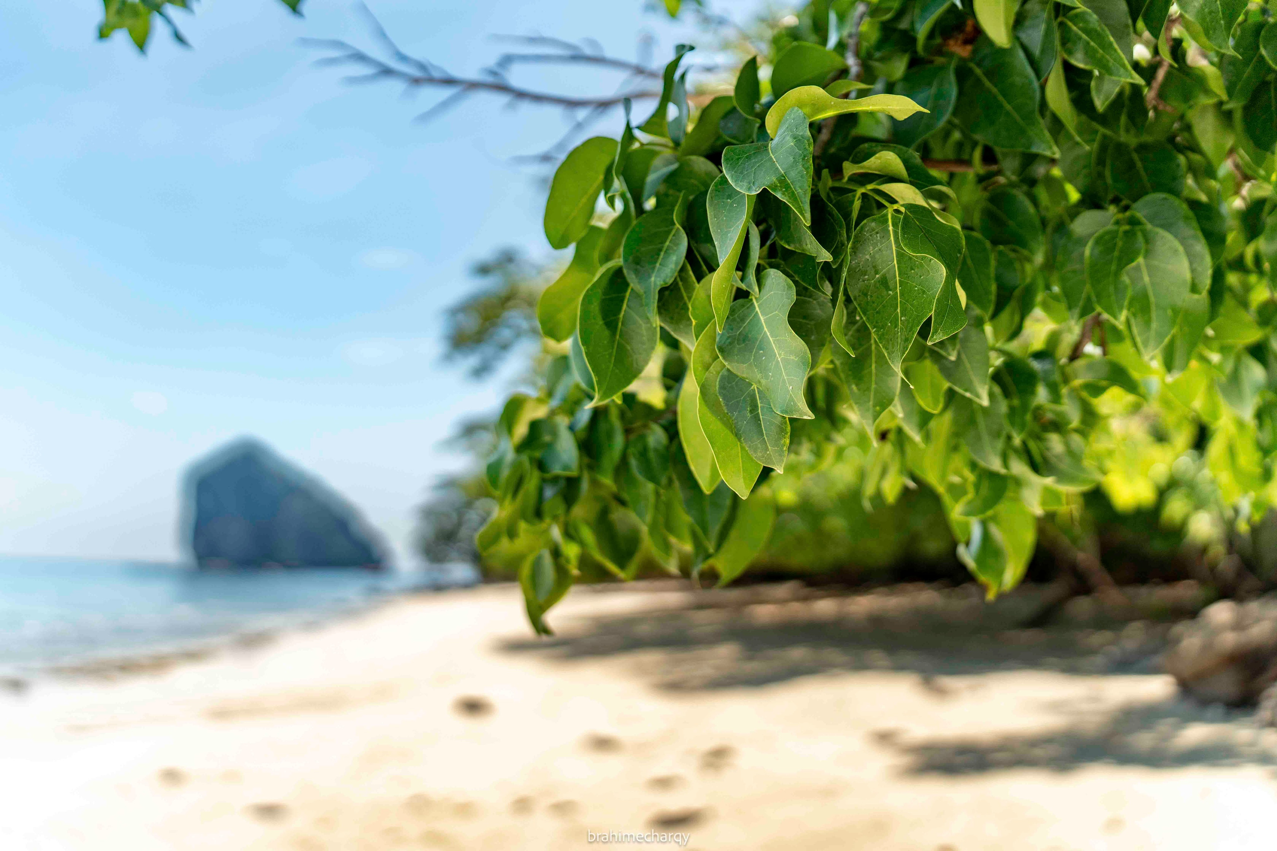 Фото. Брахим — фотограф
