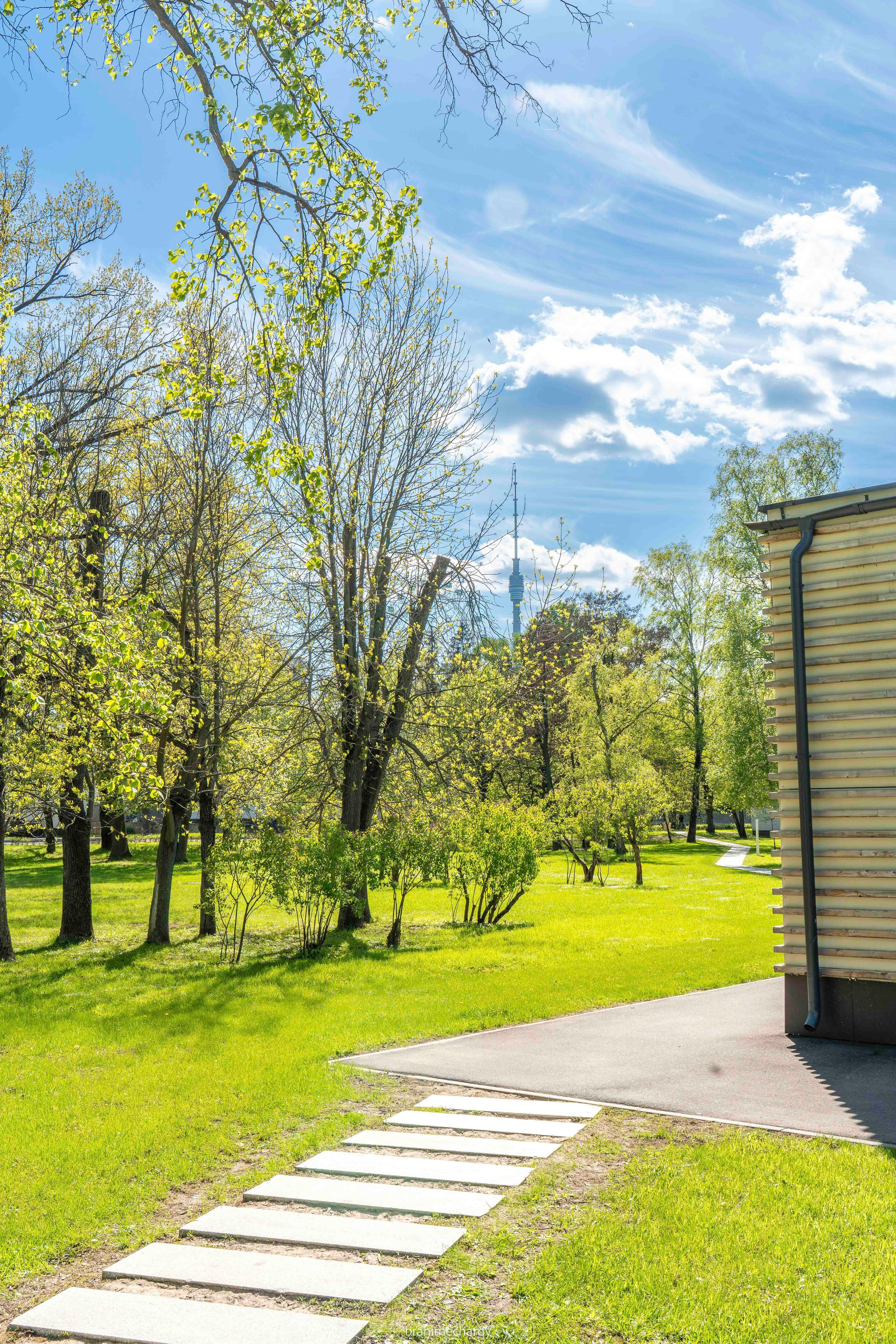 Фото. Брахим — фотограф