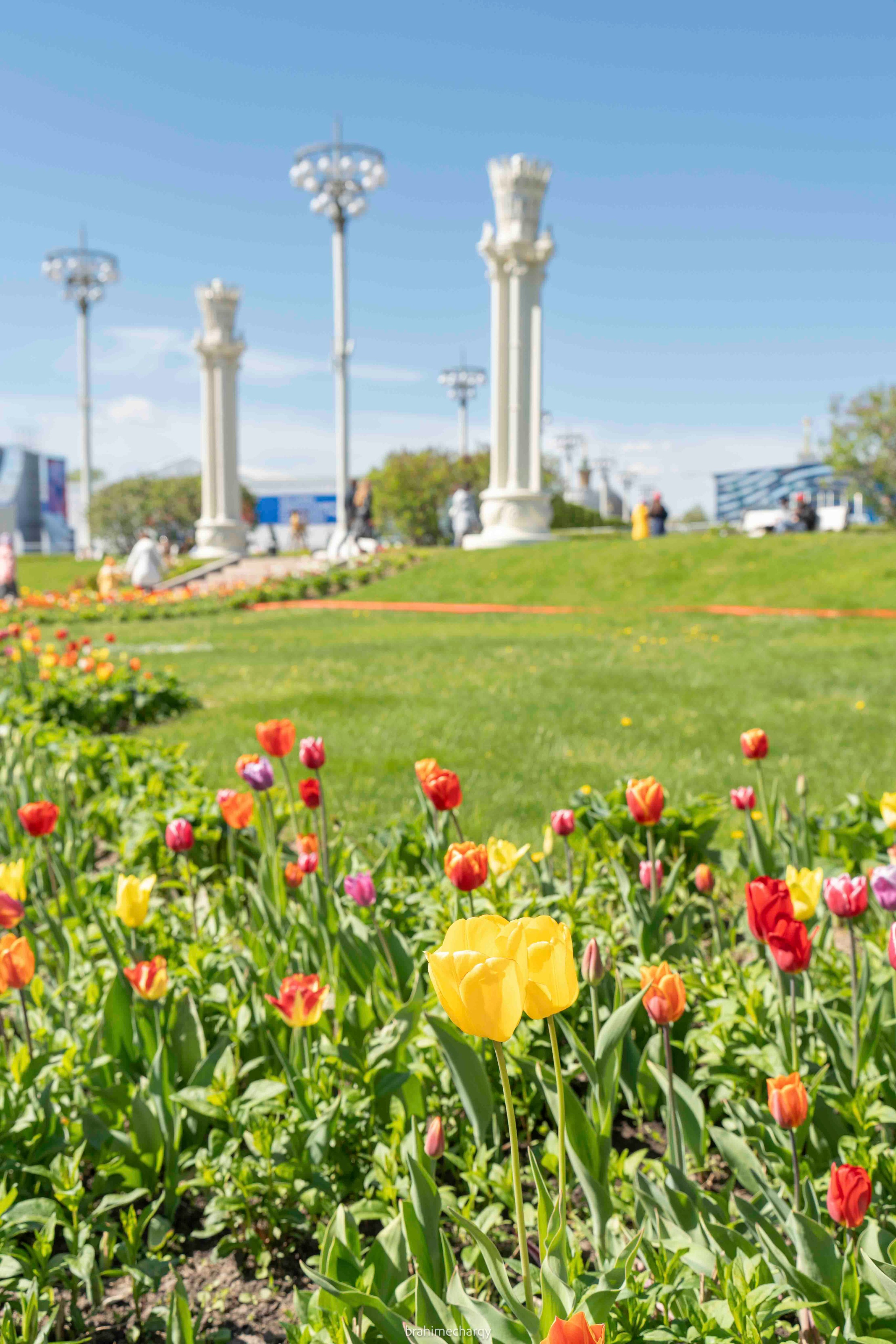 Фото. Брахим — фотограф