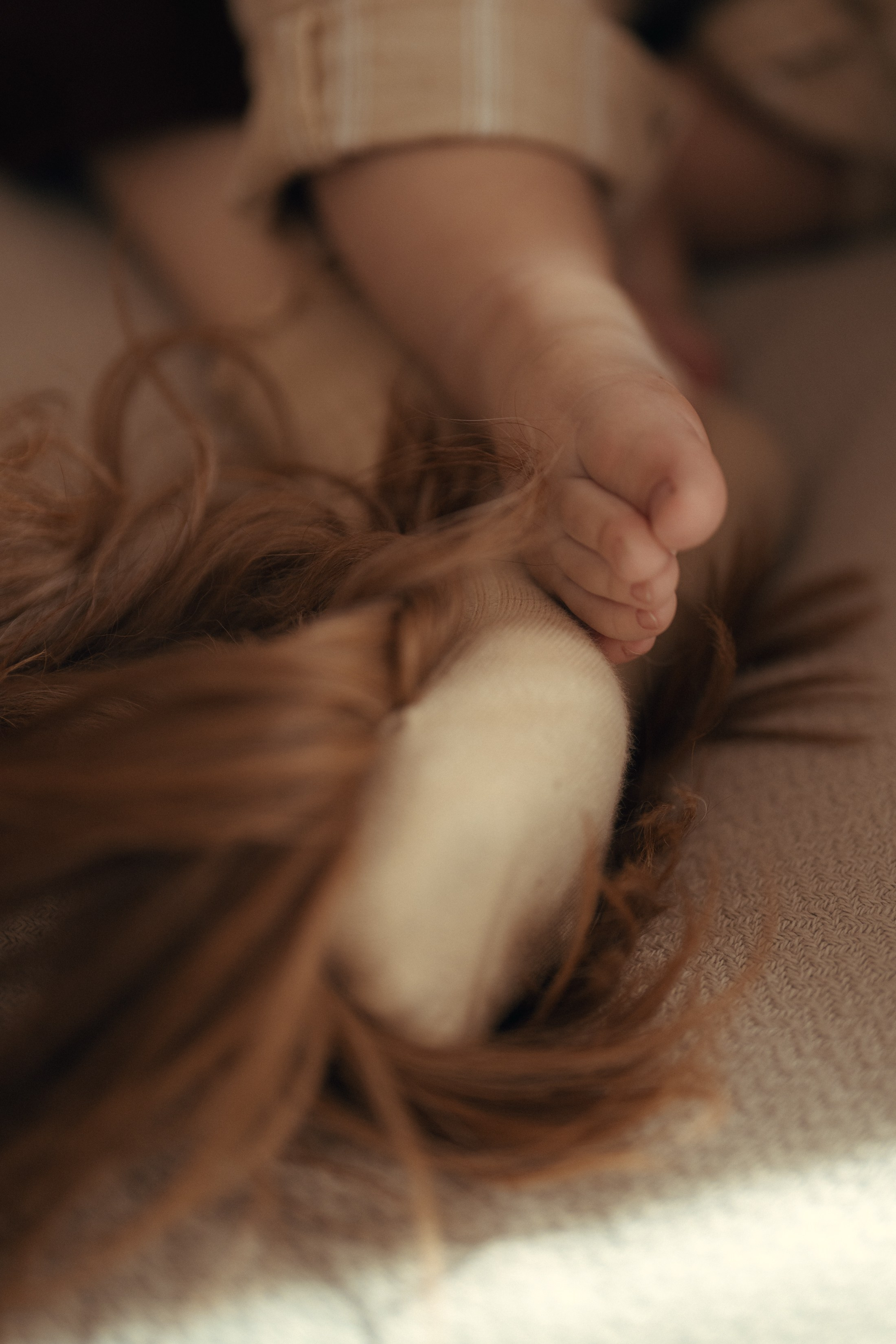 Liam Noah, Angela & Cooper. Wedding & elopement photographer Viktoriya Kravtsov. Las Vegas