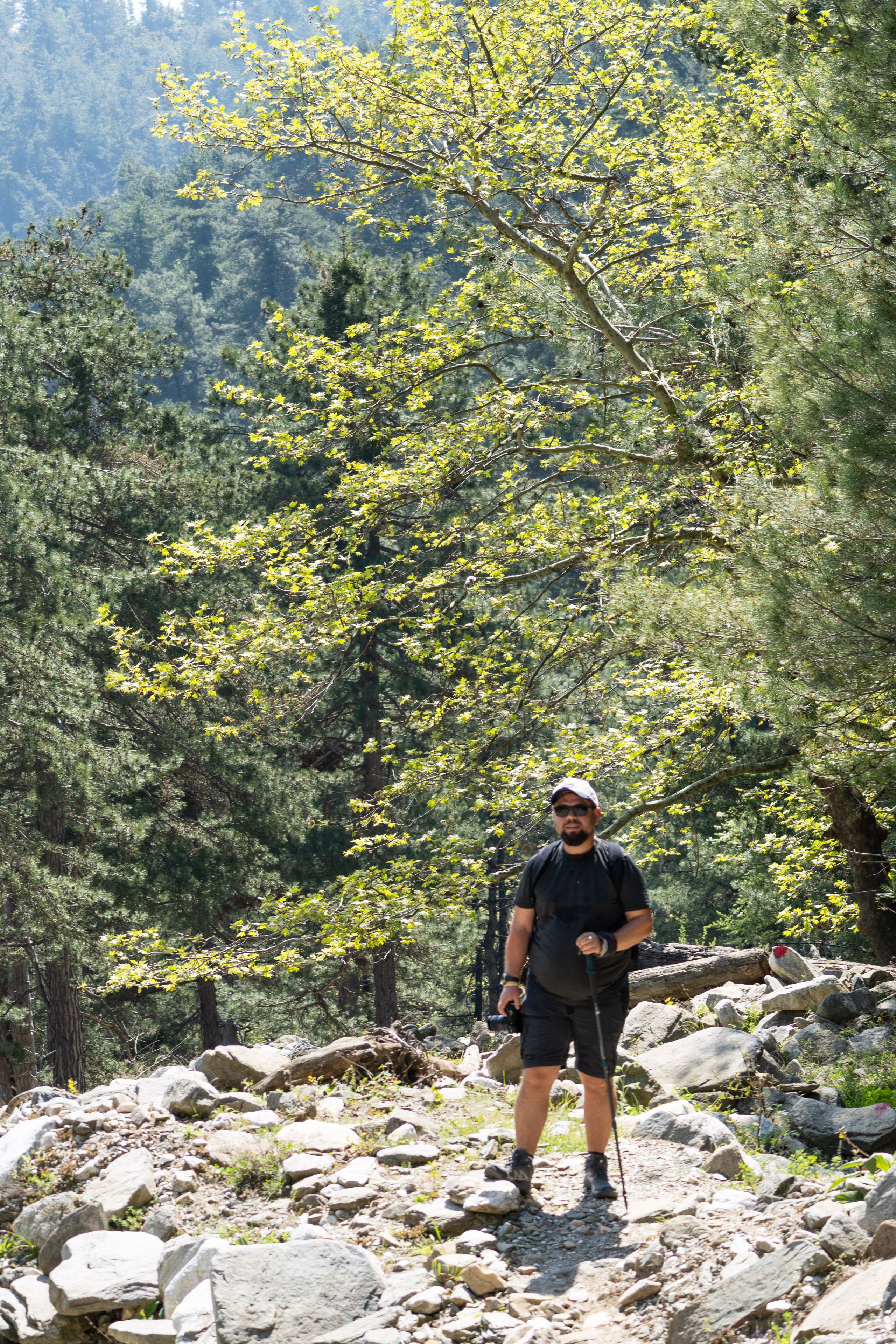 Thasos 2025. Fotografiideplacere.net